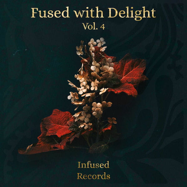 VA – Fused with Delight Vol. 4 on Infused Records