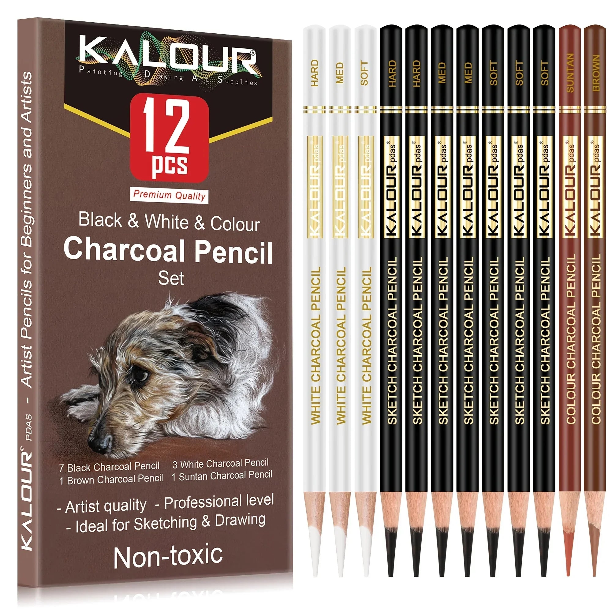 Buy The Best By Artsulli - Art is Long Life Short - 12/20/25/54/70 pcs Drawing Sketching Coloring Set Pencils & Kit Tool Professional