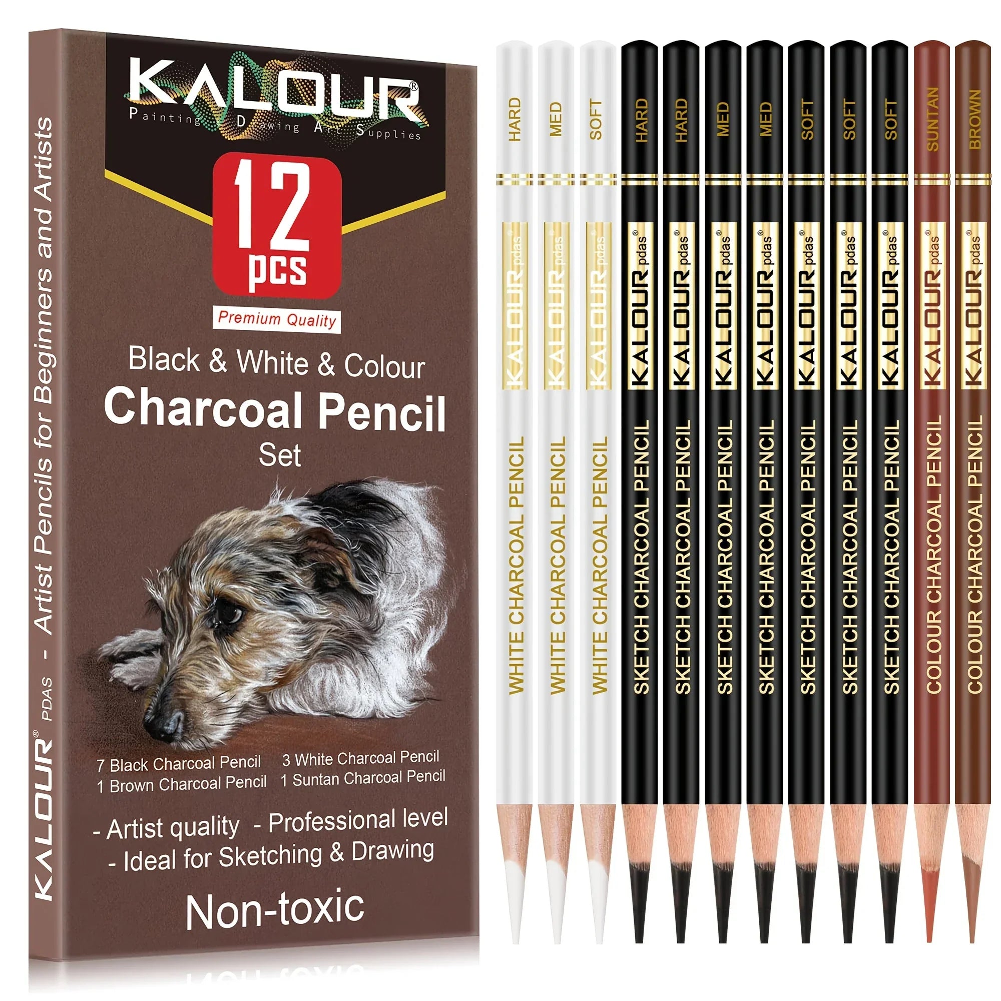 Buy The Best By Artsulli - Art is Long Life Short - 12/20/25/54/70 pcs Drawing Sketching Coloring Set Pencils & Kit Tool Professional