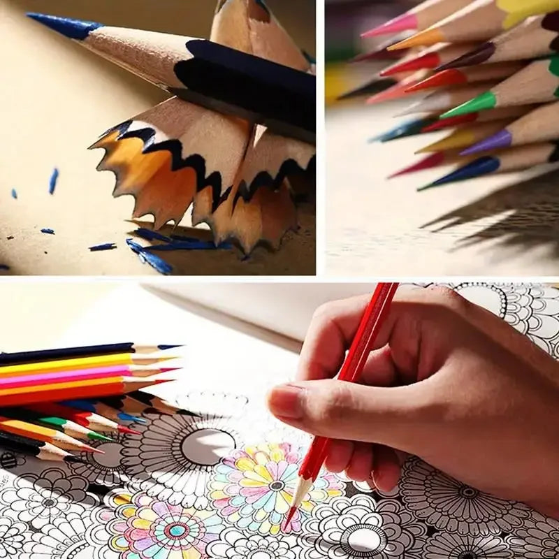 Buy The Best By Artsulli - Art is Long Life Short - 12/48/72 Colors Oily Colored Pencils Hexagon Wooden Handle Set Artist Painting Drawing