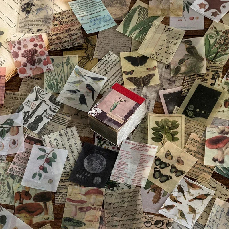 Buy The Best By Artsulli - Art is Long Life Short - 366pcs Scrapbook Paper Craft Vintage Scrapbooking Junk Journal Supplies Deco Sticker
