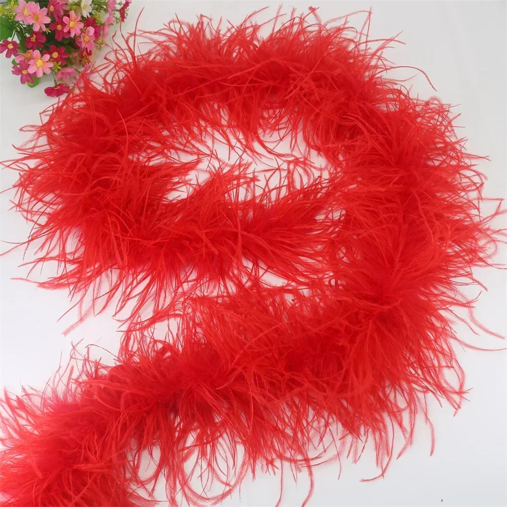 Buy The Best By Artsulli - Art is Long Life Short - 6 Layer Ostrich Feathers Boa Wedding Accessories Plumas De Faisan 2 Meters Clothing