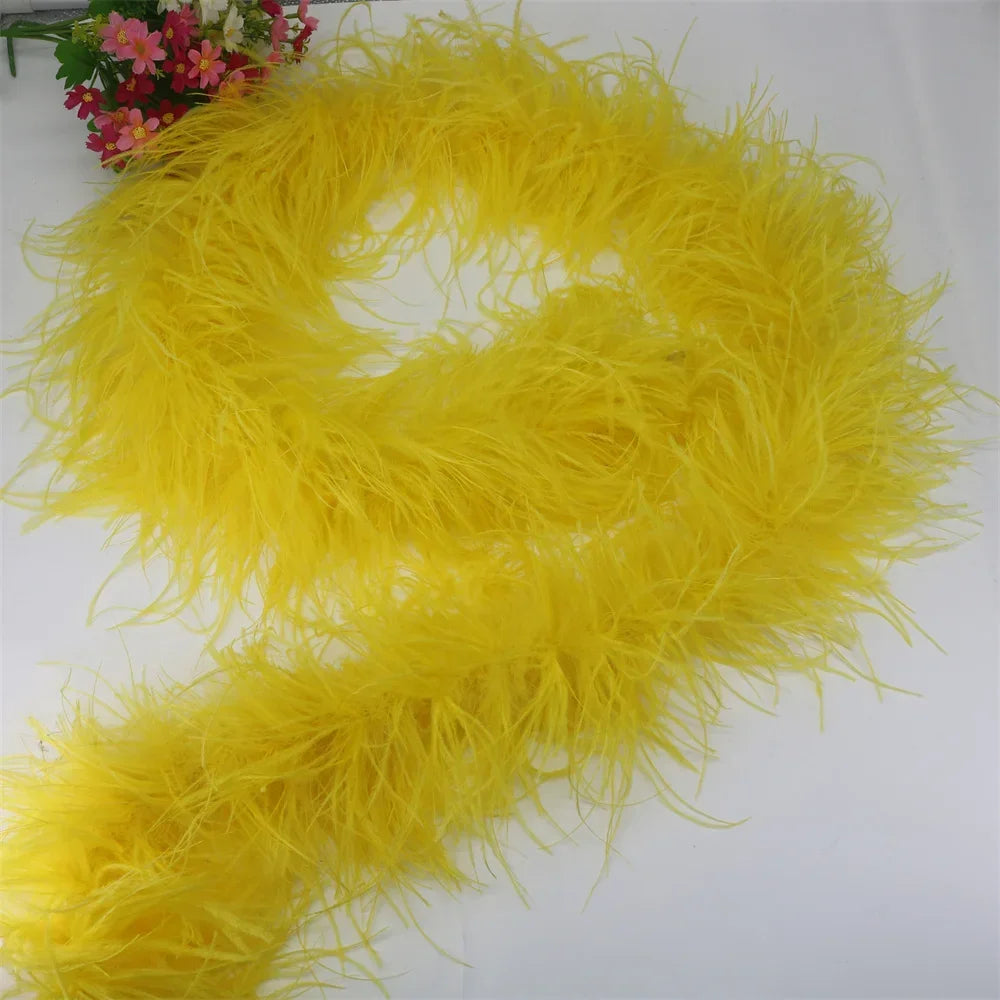 Buy The Best By Artsulli - Art is Long Life Short - 6 Layer Ostrich Feathers Boa Wedding Accessories Plumas De Faisan 2 Meters Clothing