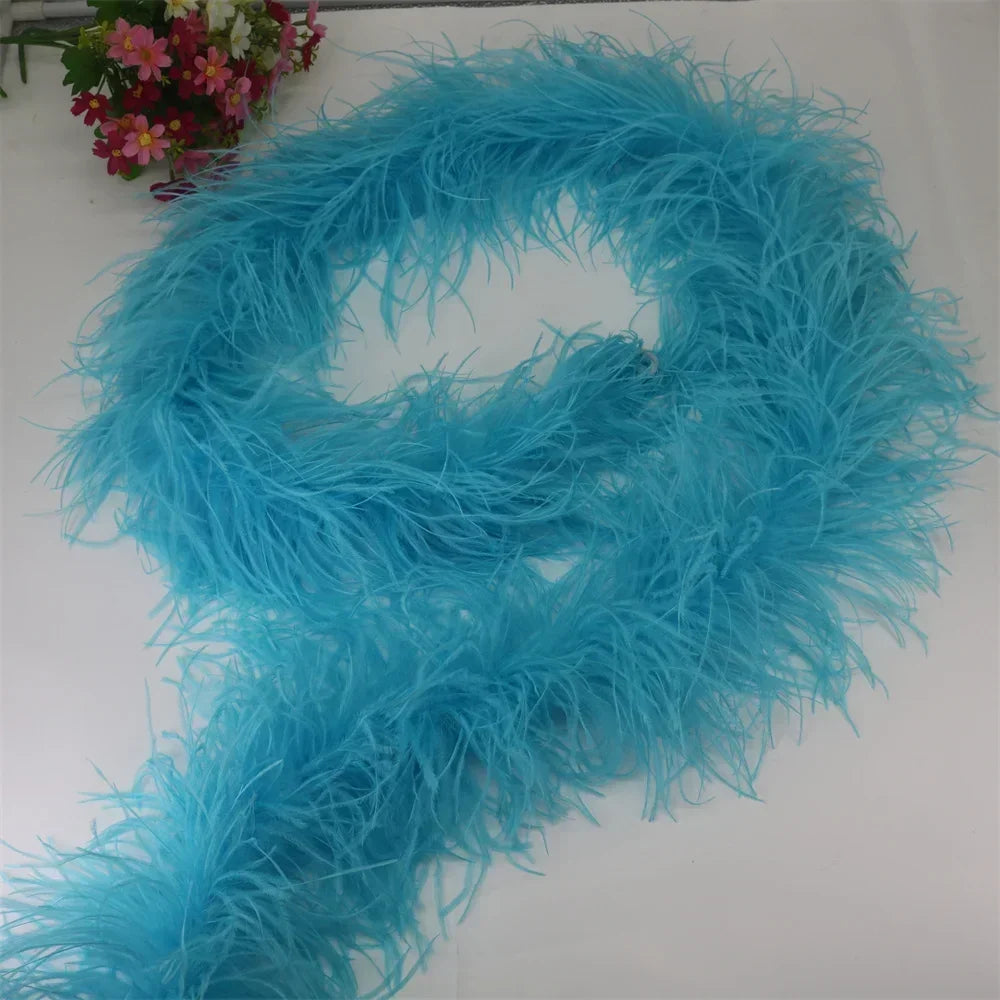 Buy The Best By Artsulli - Art is Long Life Short - 6 Layer Ostrich Feathers Boa Wedding Accessories Plumas De Faisan 2 Meters Clothing