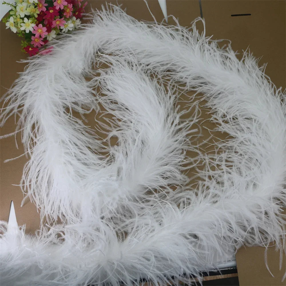 Buy The Best By Artsulli - Art is Long Life Short - 6 Layer Ostrich Feathers Boa Wedding Accessories Plumas De Faisan 2 Meters Clothing