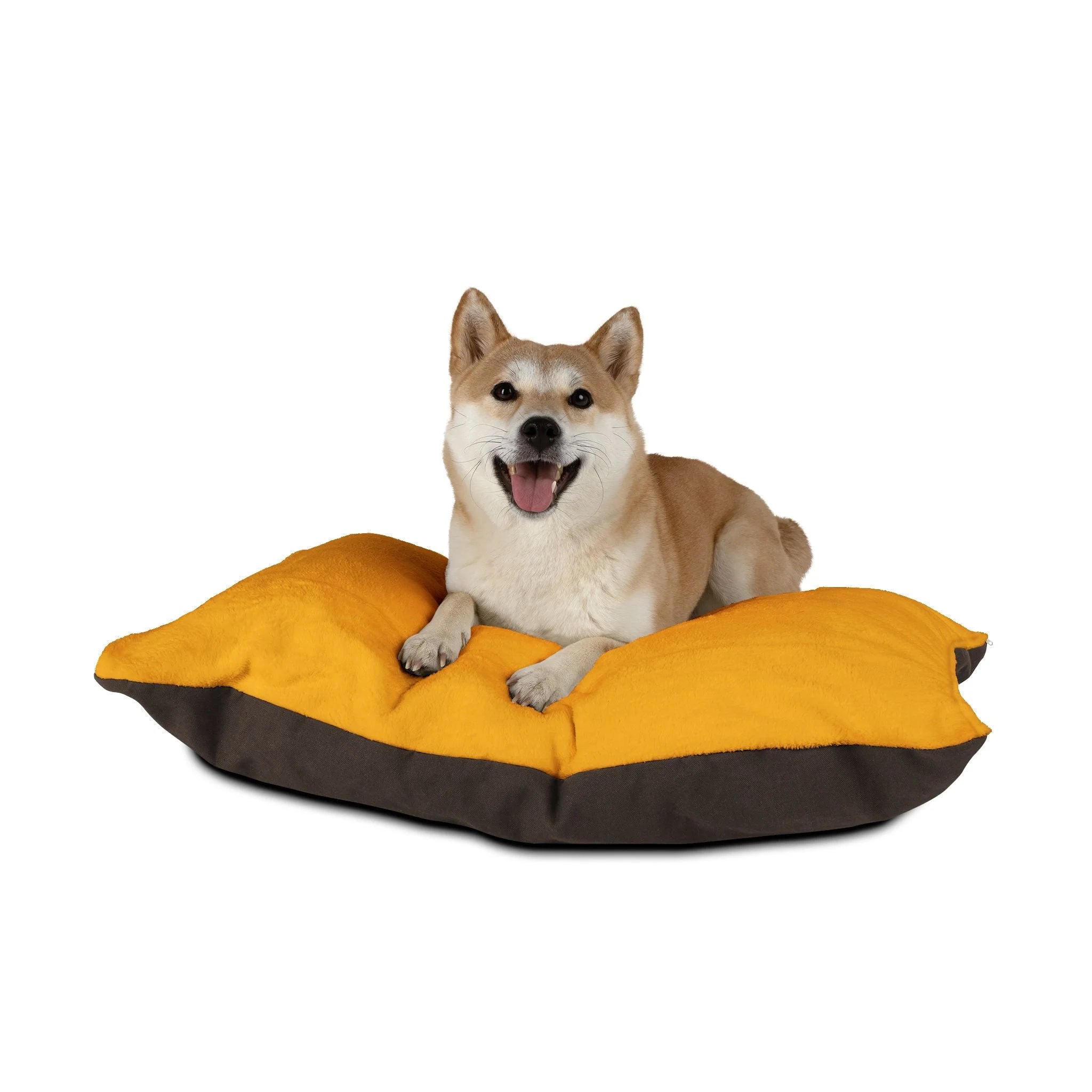 Buy The Best By Artsulli x Color Printify - Pet Bed - 2026