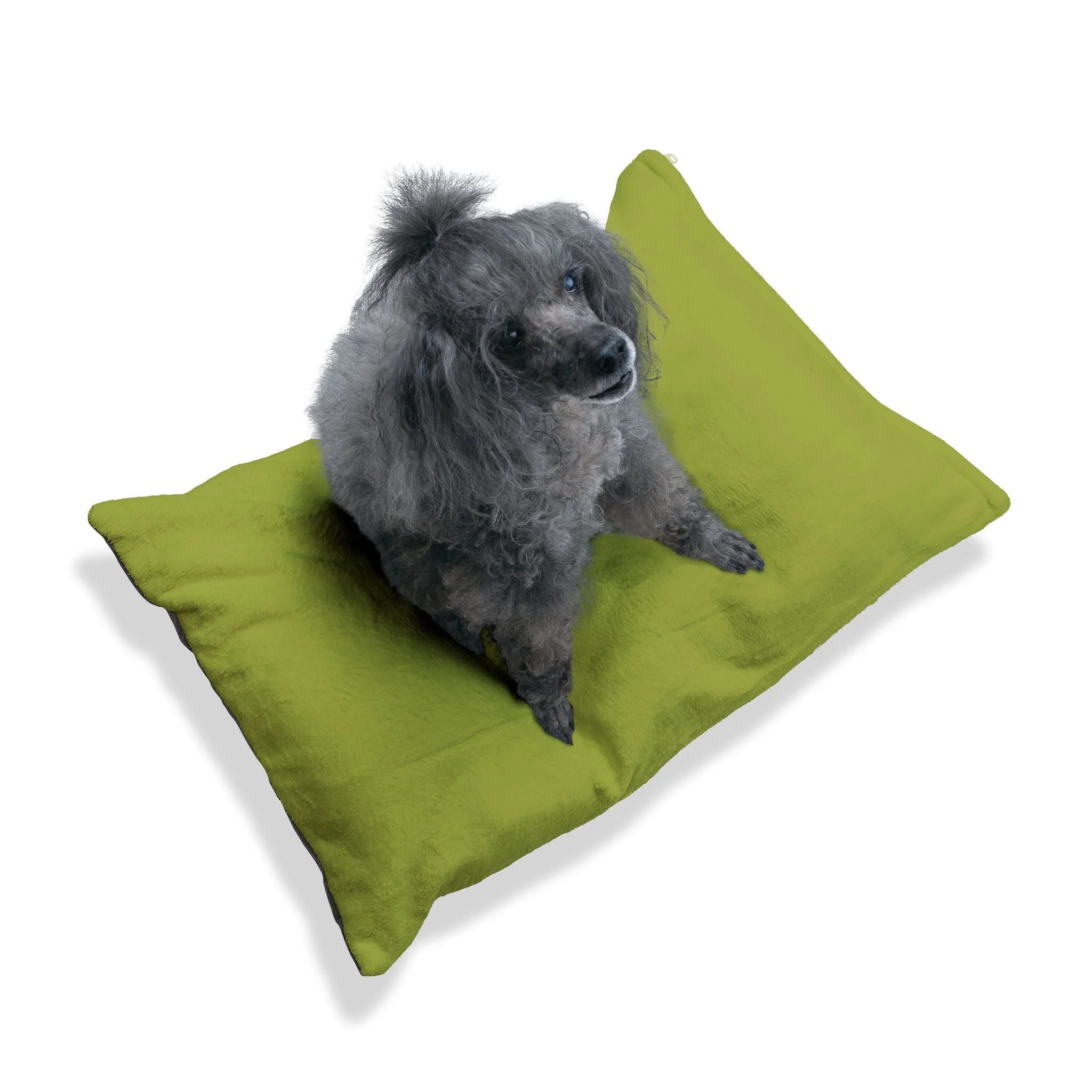 Buy The Best By Artsulli x Color Printify - Pet Bed - 2026