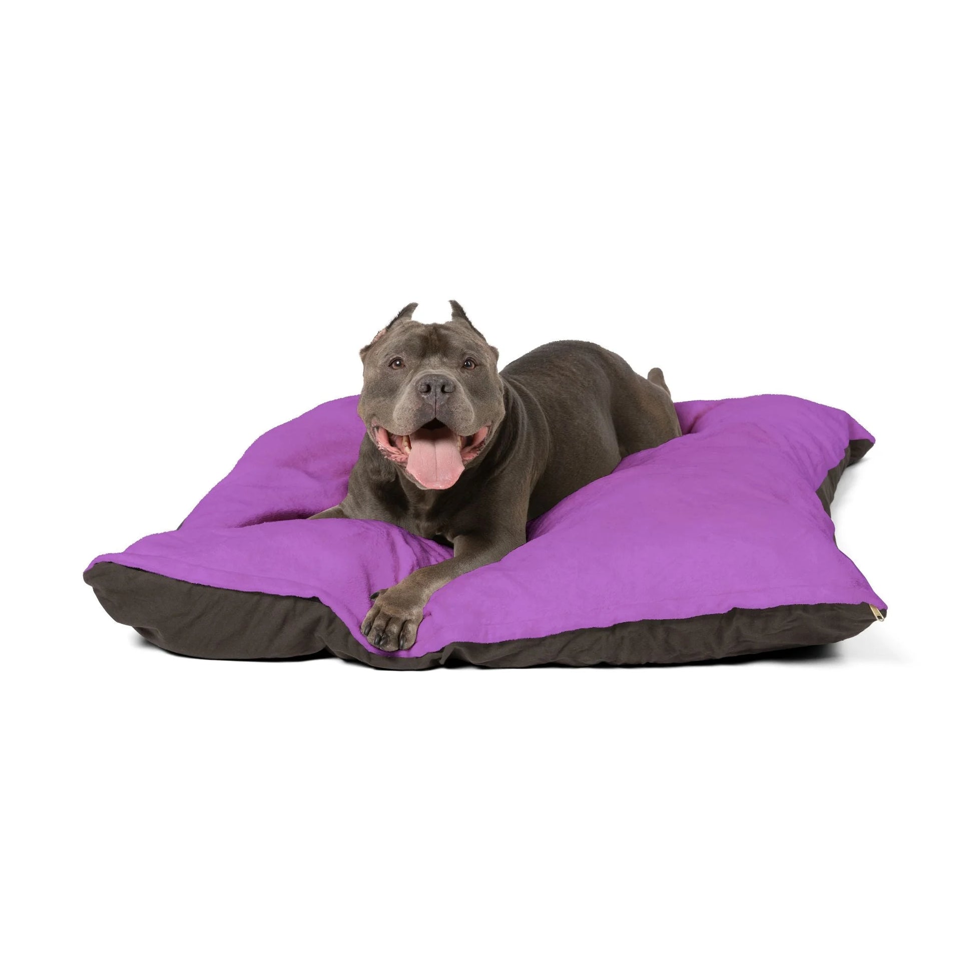 Buy The Best By Artsulli x Color Printify - Pet Bed - 2026