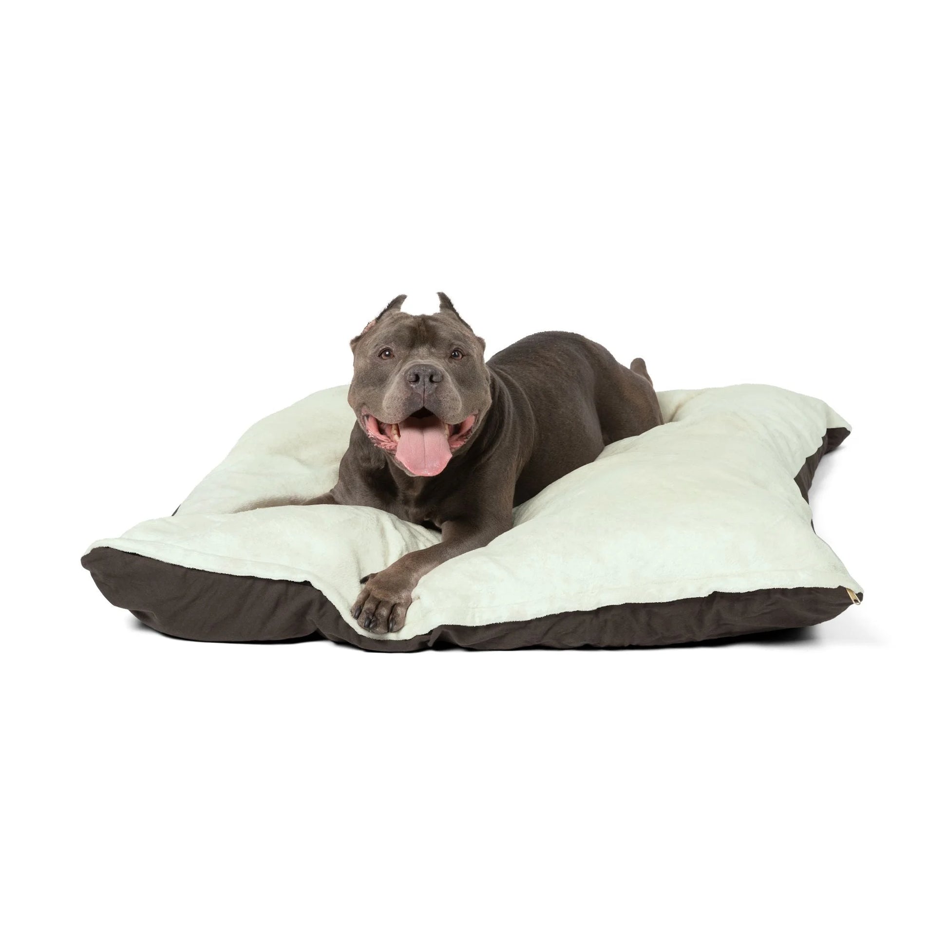 Buy The Best By Artsulli x Color Printify - Pet Bed - 2026