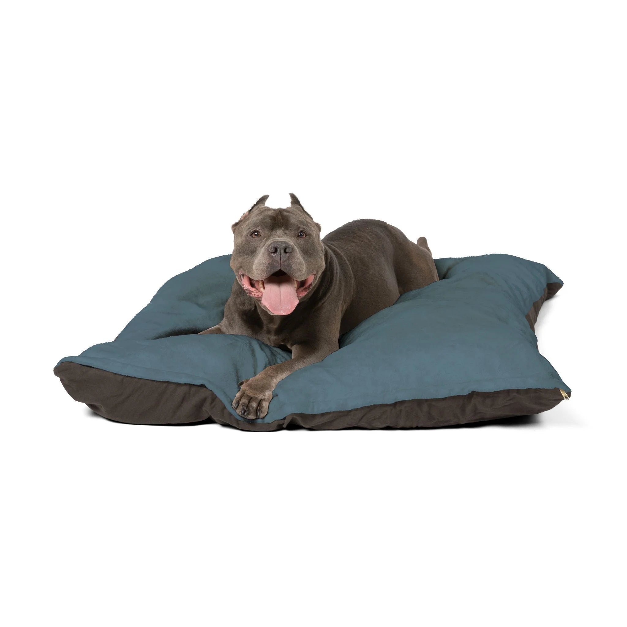 Buy The Best By Artsulli x Color Printify - Pet Bed - 2026