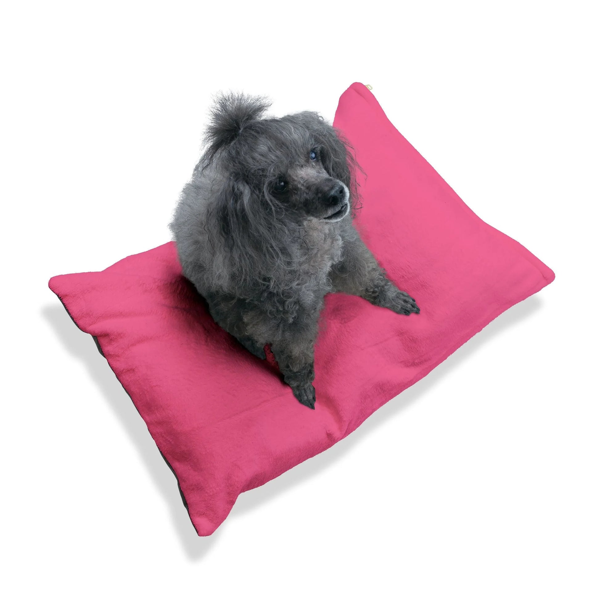 Buy The Best By Artsulli x Color Printify - Pet Bed - 2026