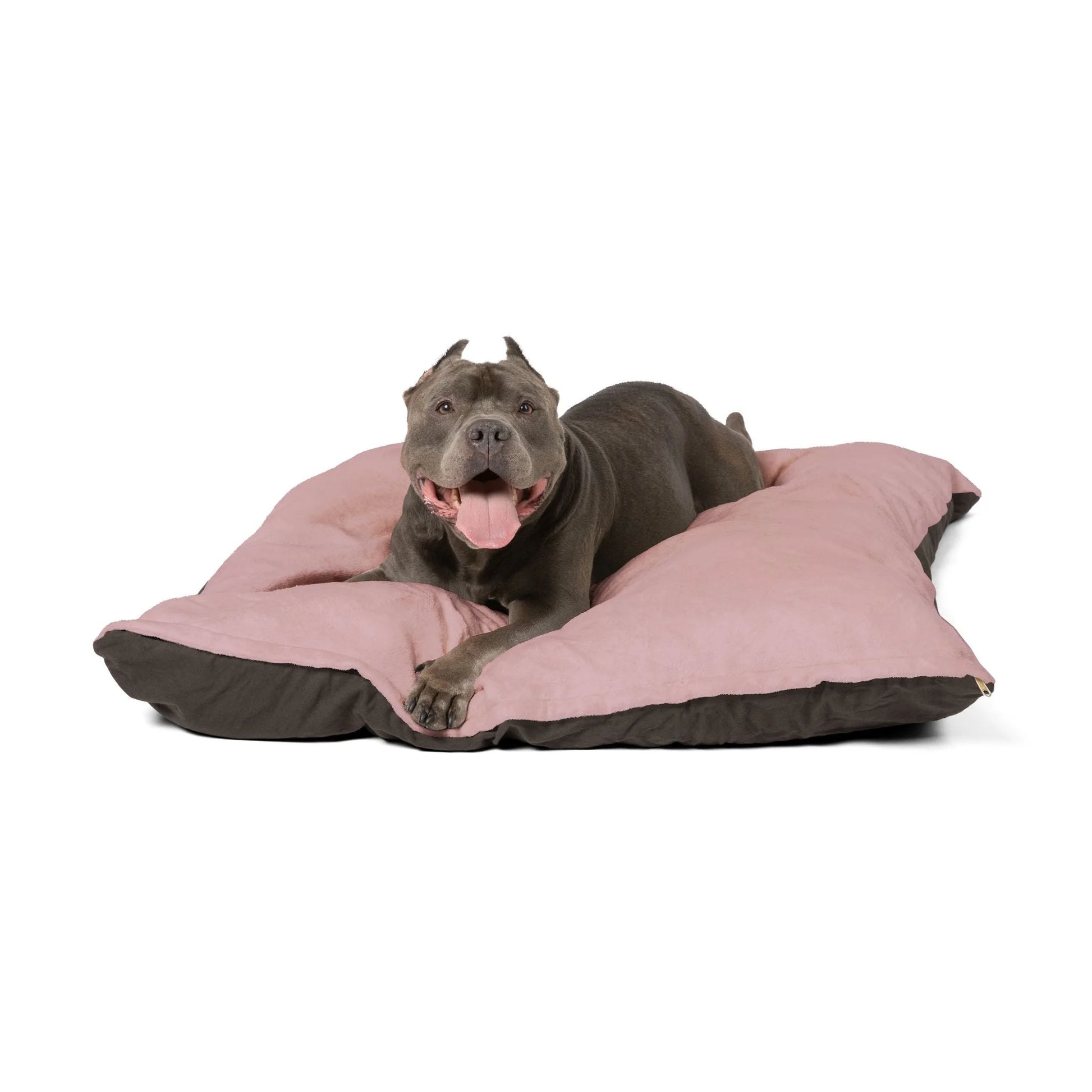 Buy The Best By Printify - Pet Bed - 2026