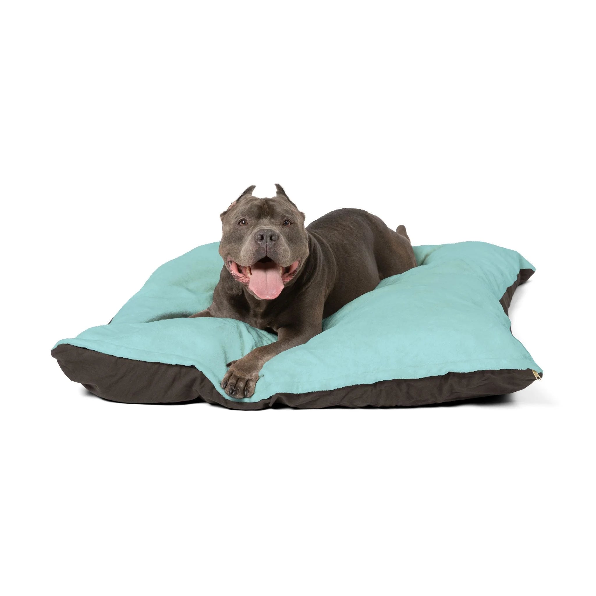 Buy The Best By Artsulli x Color Printify - Pet Bed - 2026
