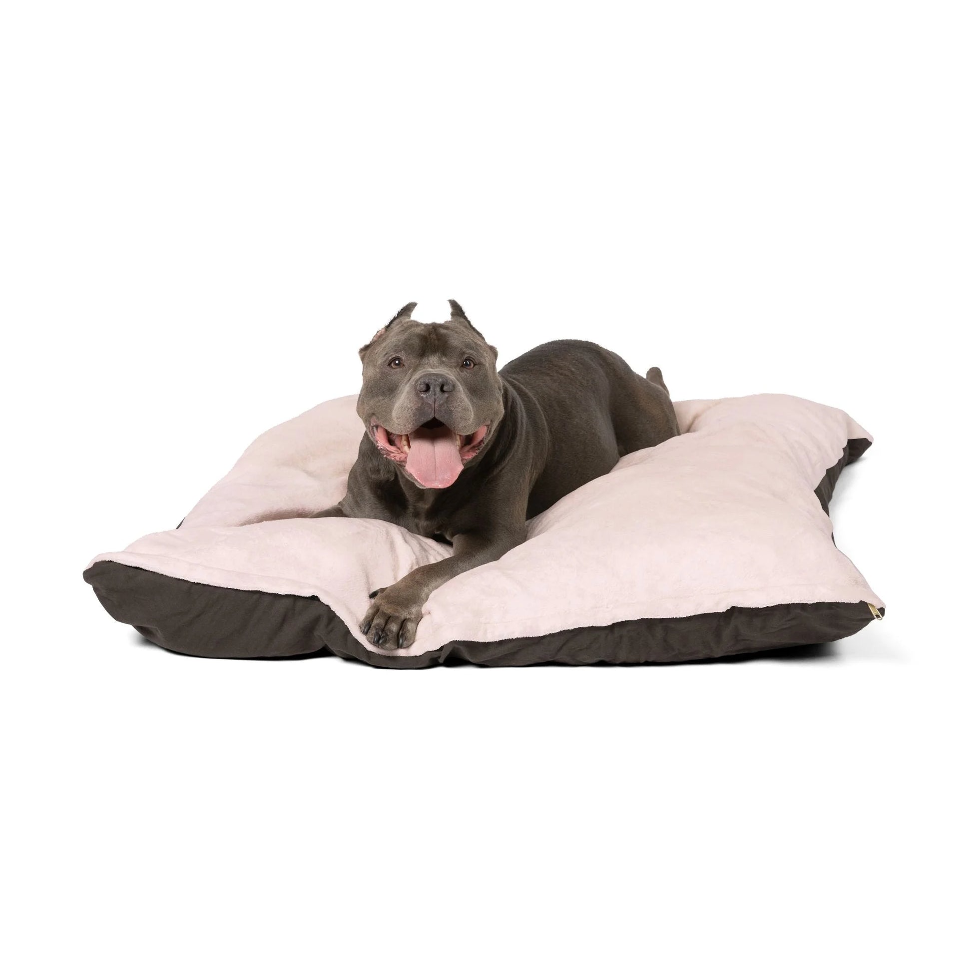 Buy The Best By Artsulli x Color Printify - Pet Bed - 2026