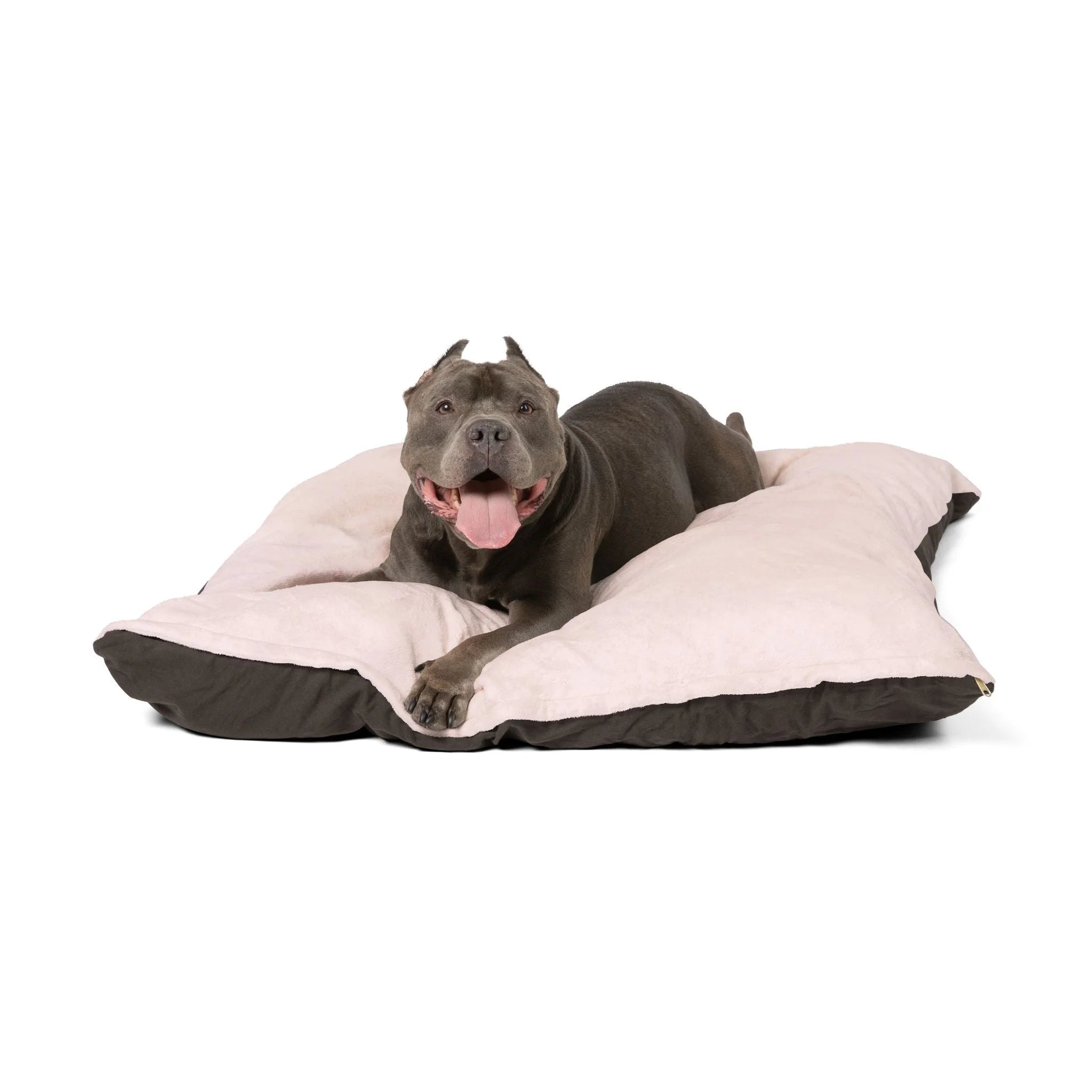 Buy The Best By Artsulli x Color Printify - Pet Bed - 2026