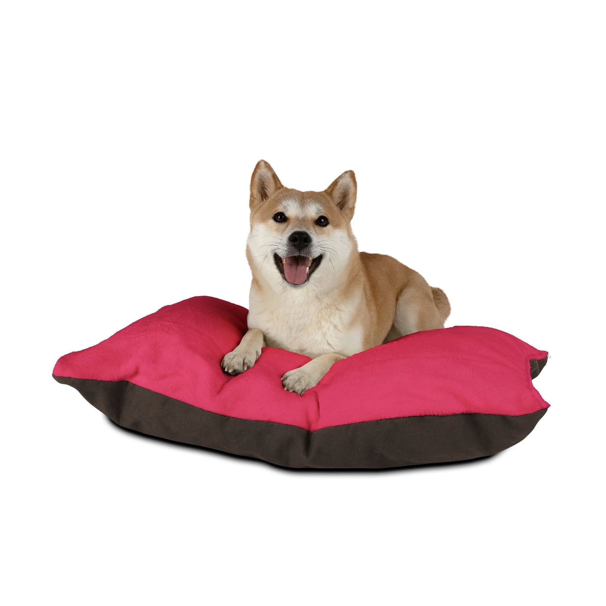 Buy The Best By Artsulli x Color Printify - Pet Bed - 2026