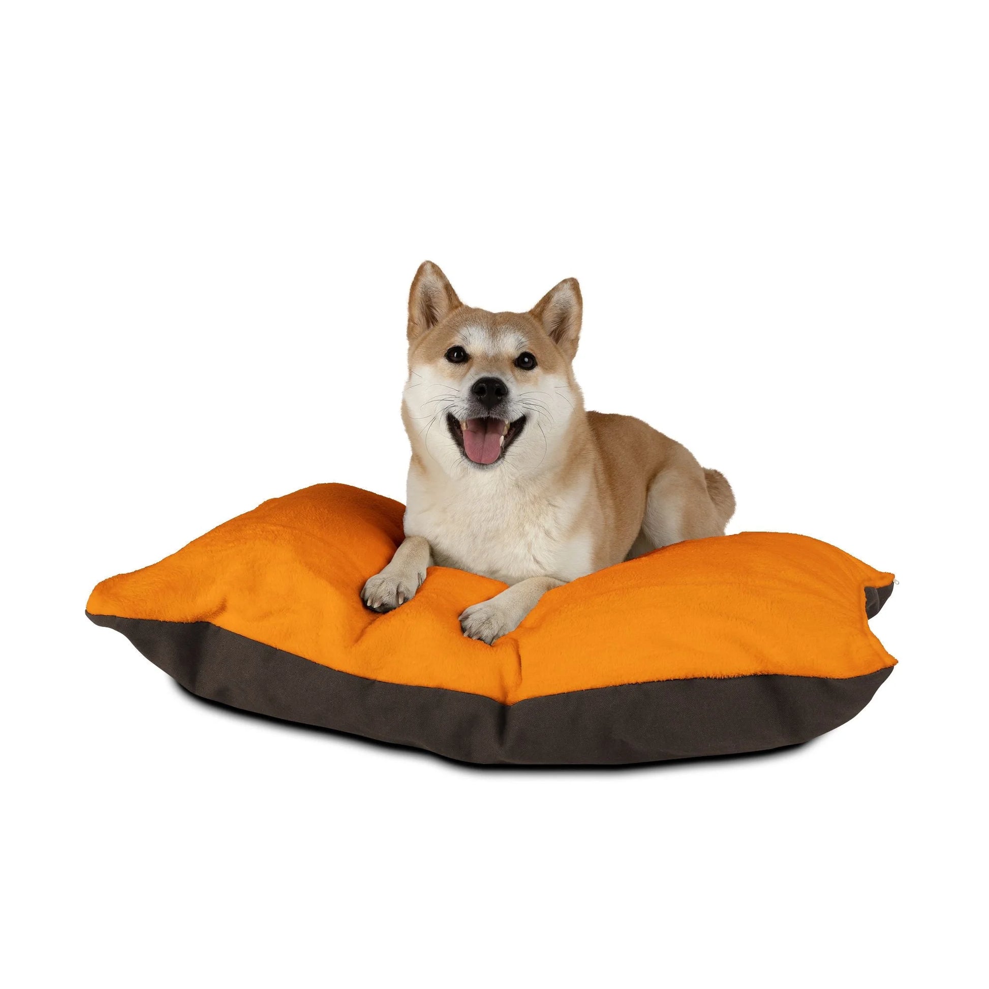 Buy The Best By Artsulli x Color Printify - Pet Bed - 2026