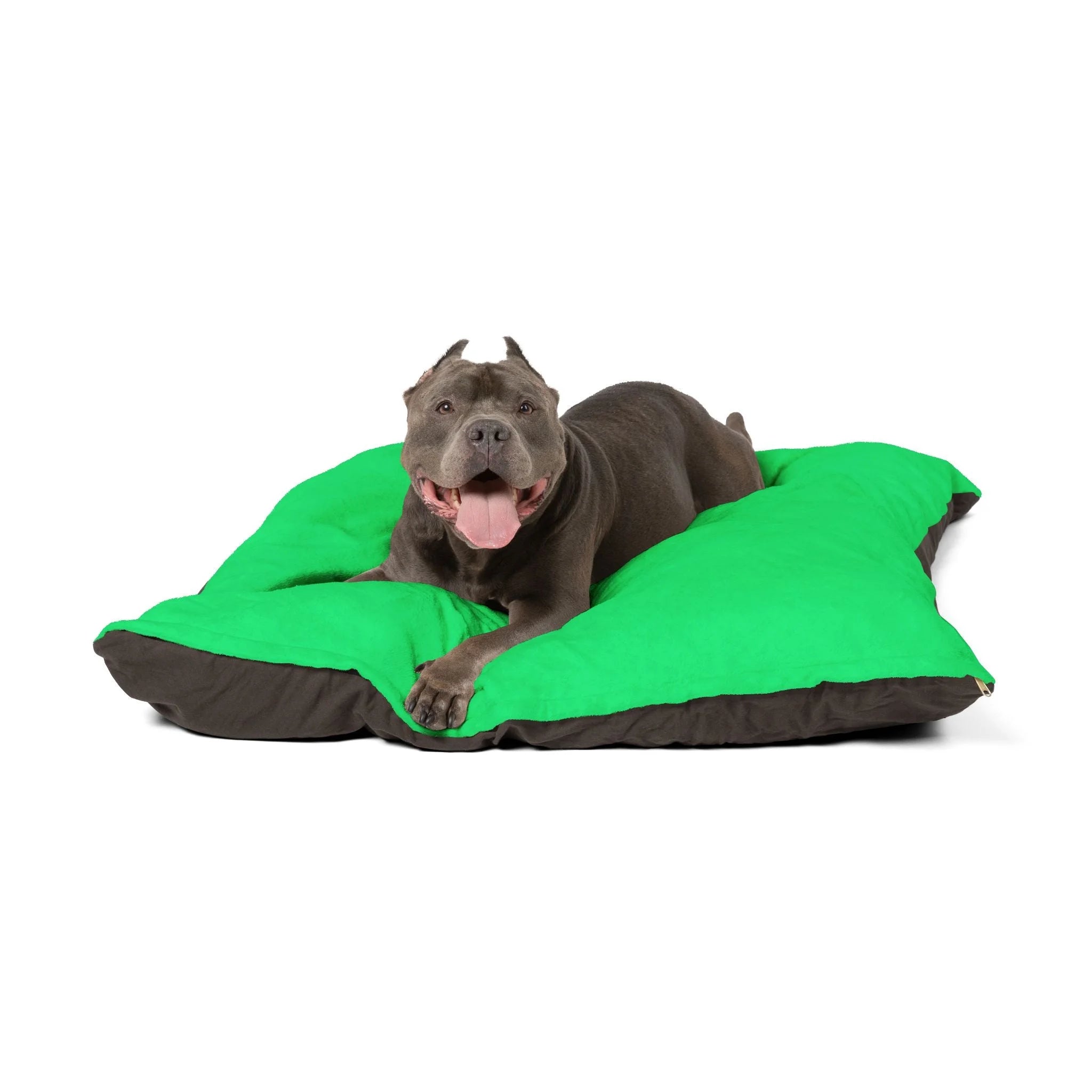 Buy The Best By Artsulli x Color Printify - Pet Bed - 2026