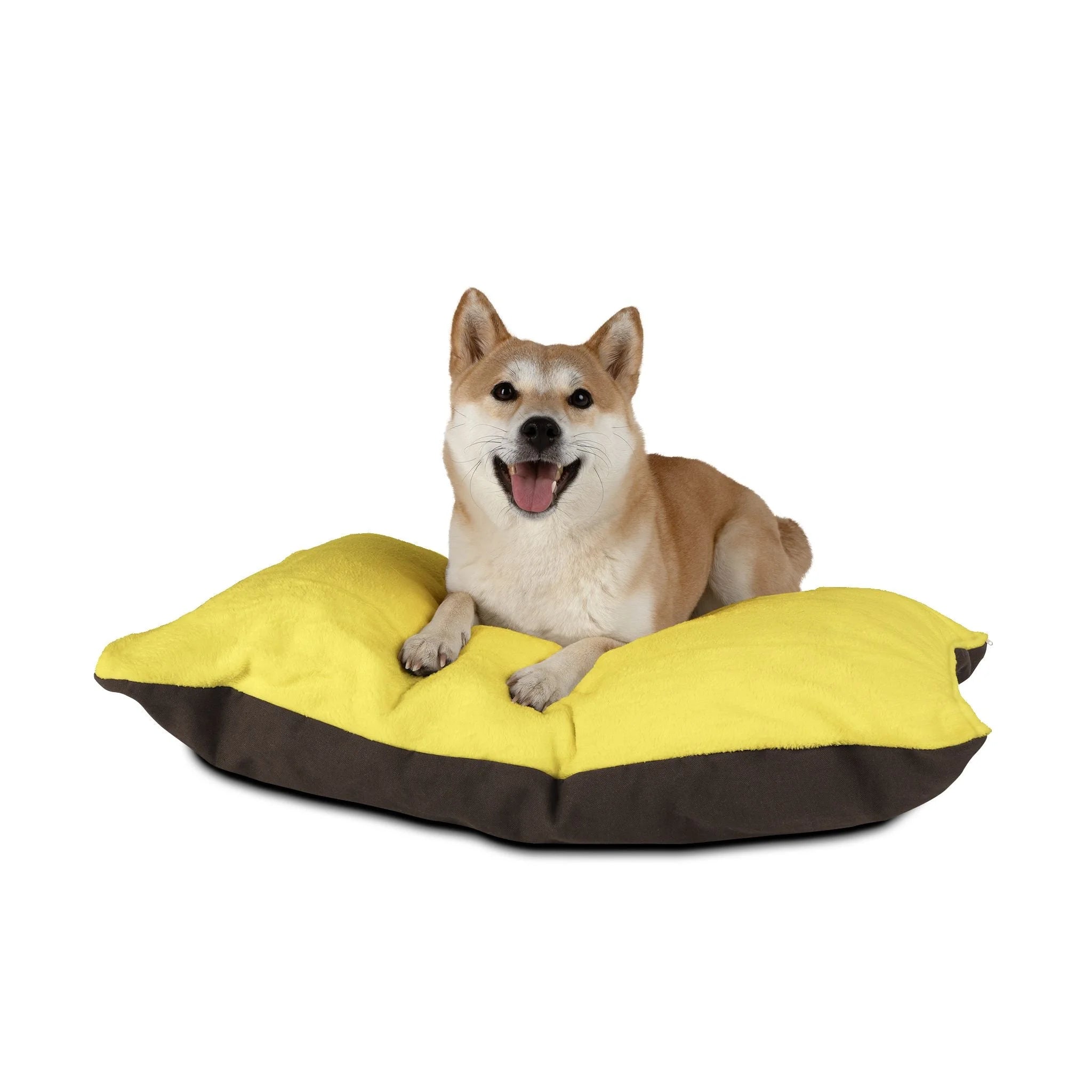 Buy The Best By Artsulli x Color Printify - Pet Bed - 2026