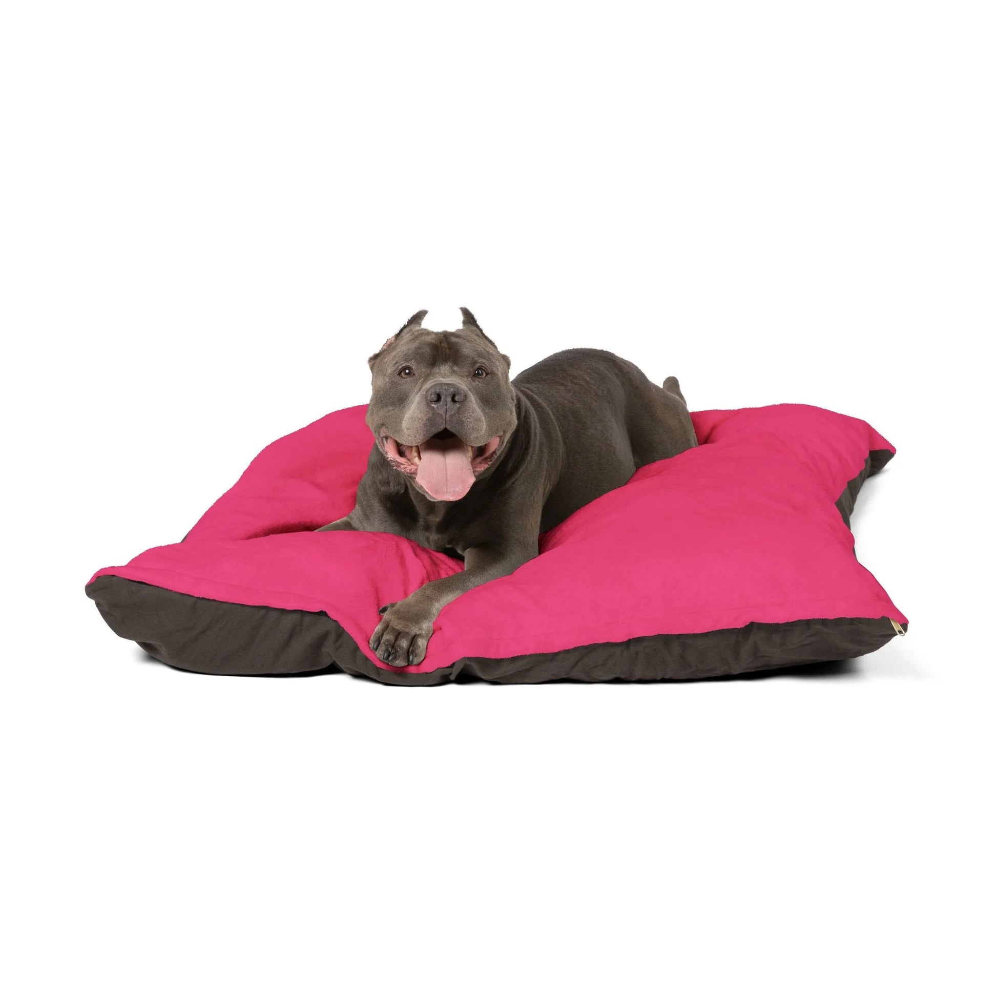 Buy The Best By Artsulli x Color Printify - Pet Bed - 2026