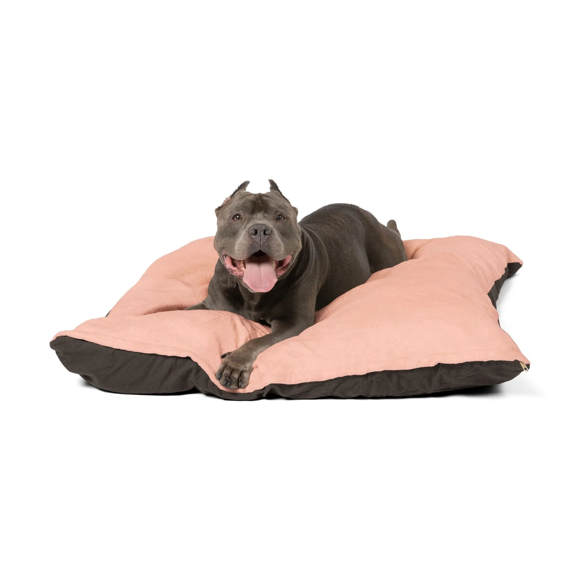 Buy The Best By Artsulli x Color Printify - Pet Bed - 2026