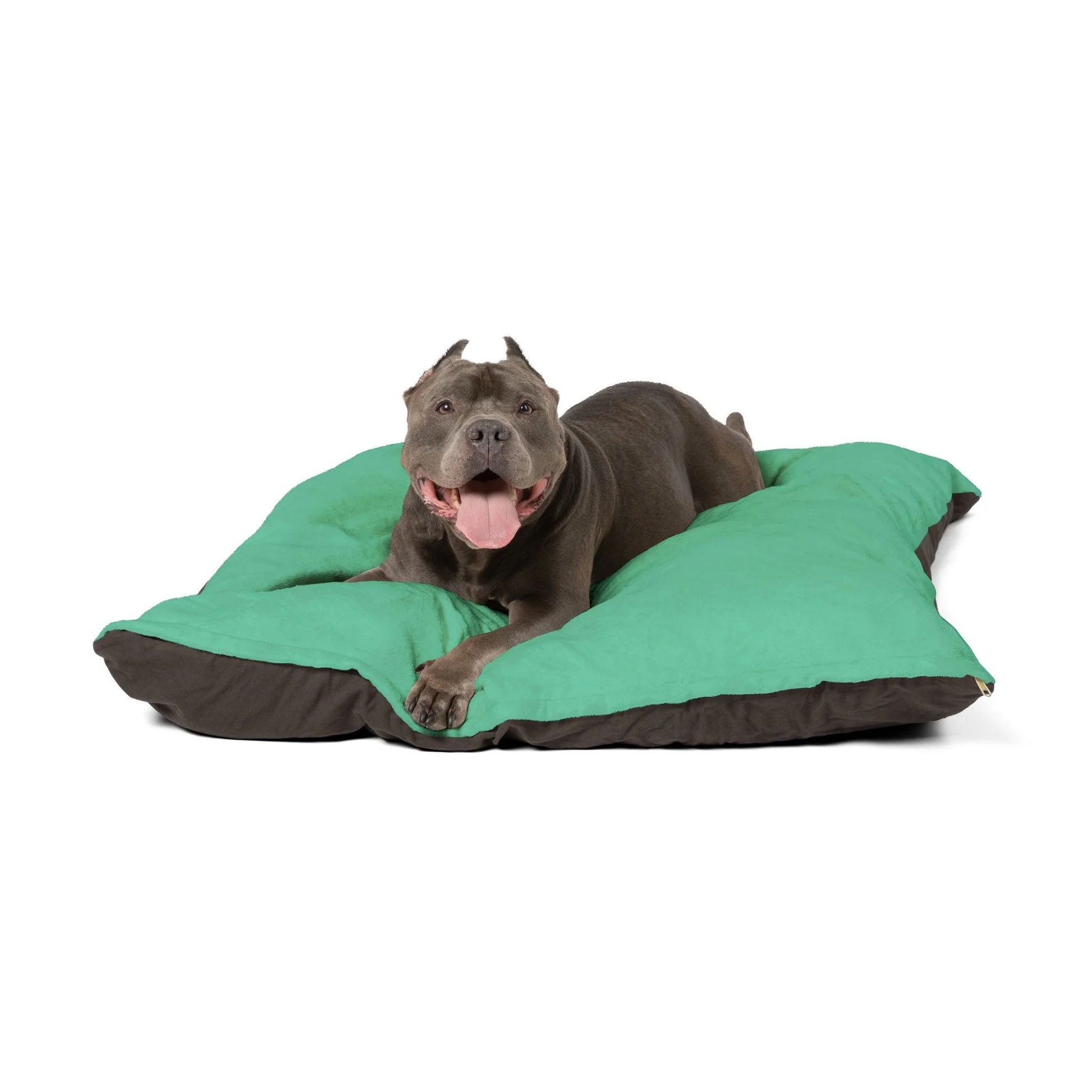 Buy The Best By Artsulli x Color Printify - Pet Bed - 2026