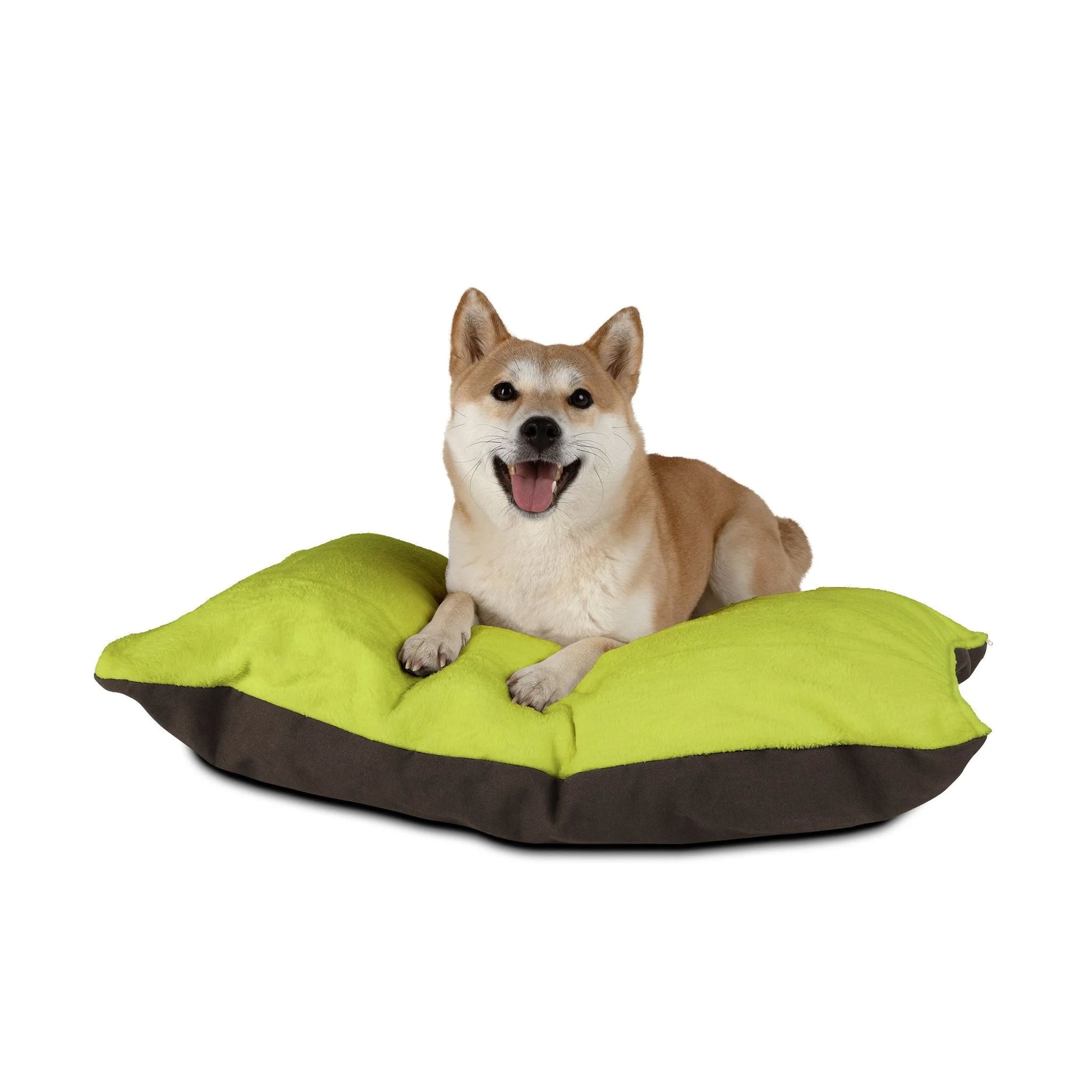 Buy The Best By Artsulli x Color Printify - Pet Bed - 2026