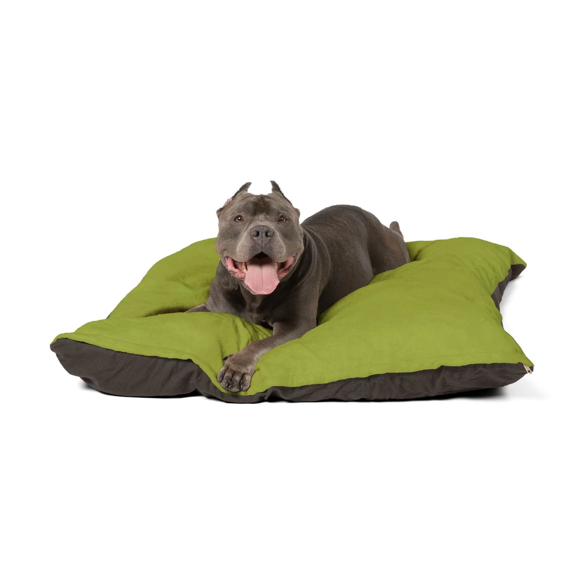 Buy The Best By Artsulli x Color Printify - Pet Bed - 2026