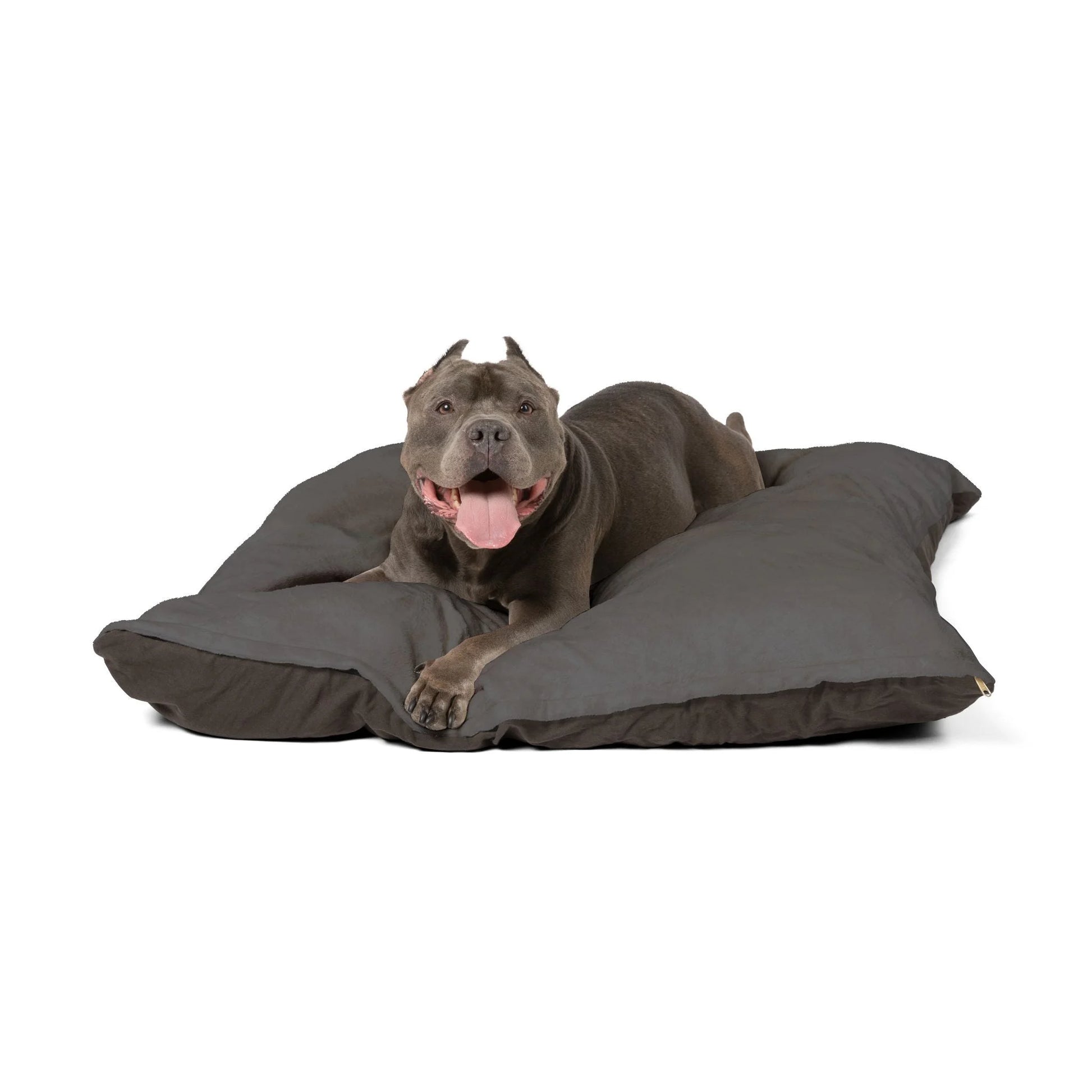 Buy The Best By Printify - Pet Bed - 2026