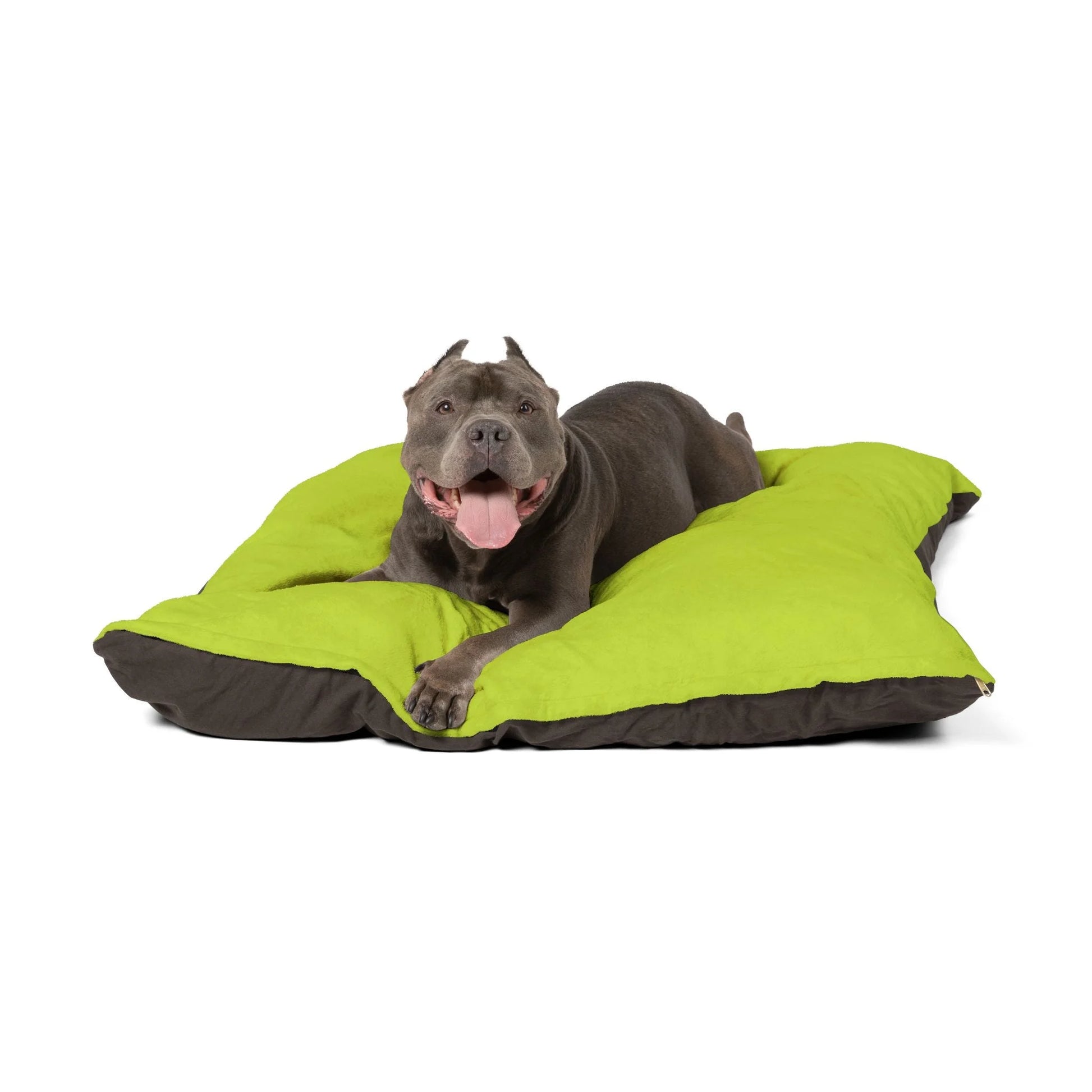Buy The Best By Artsulli x Color Printify - Pet Bed - 2026