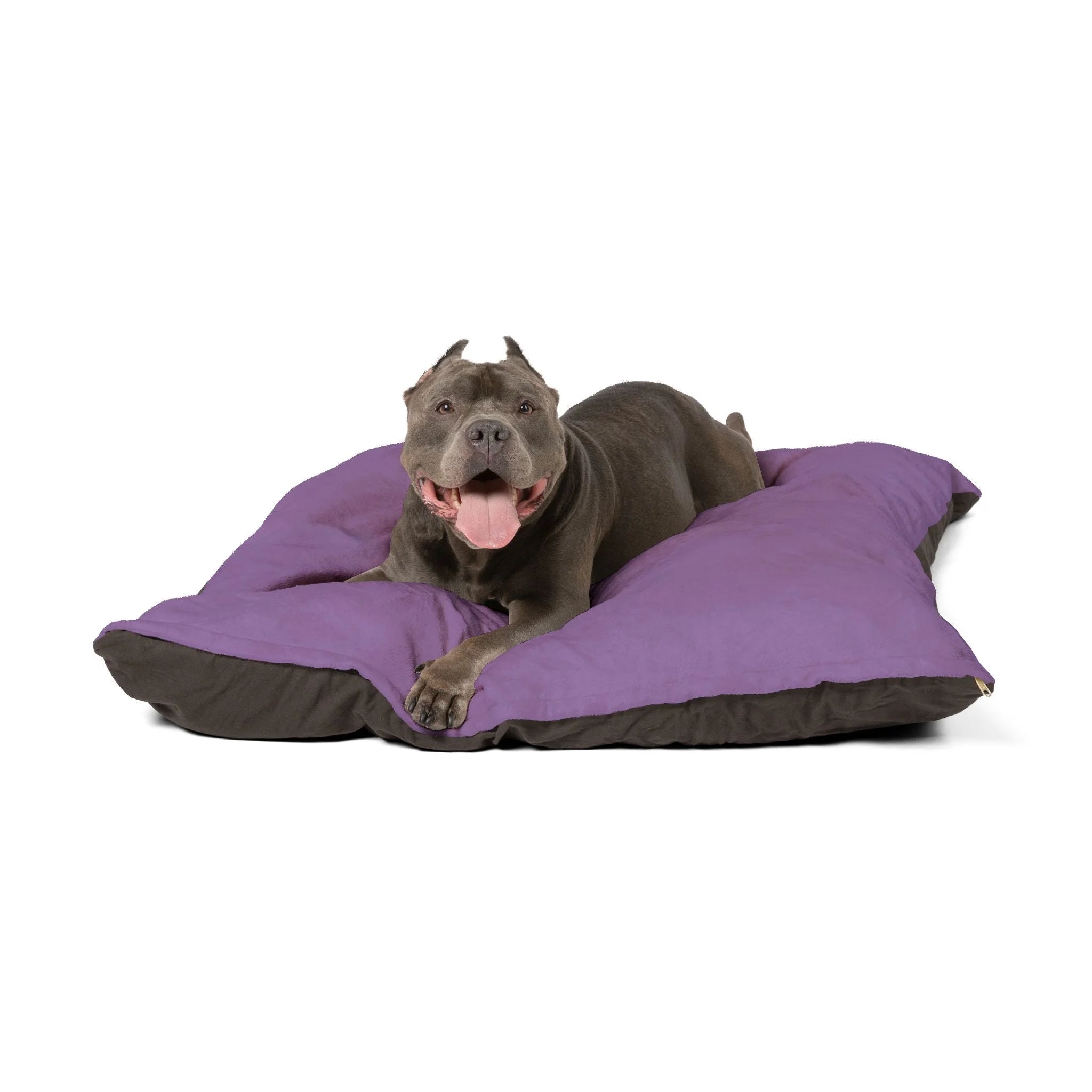 Buy The Best By Artsulli x Color Printify - Pet Bed - 2026