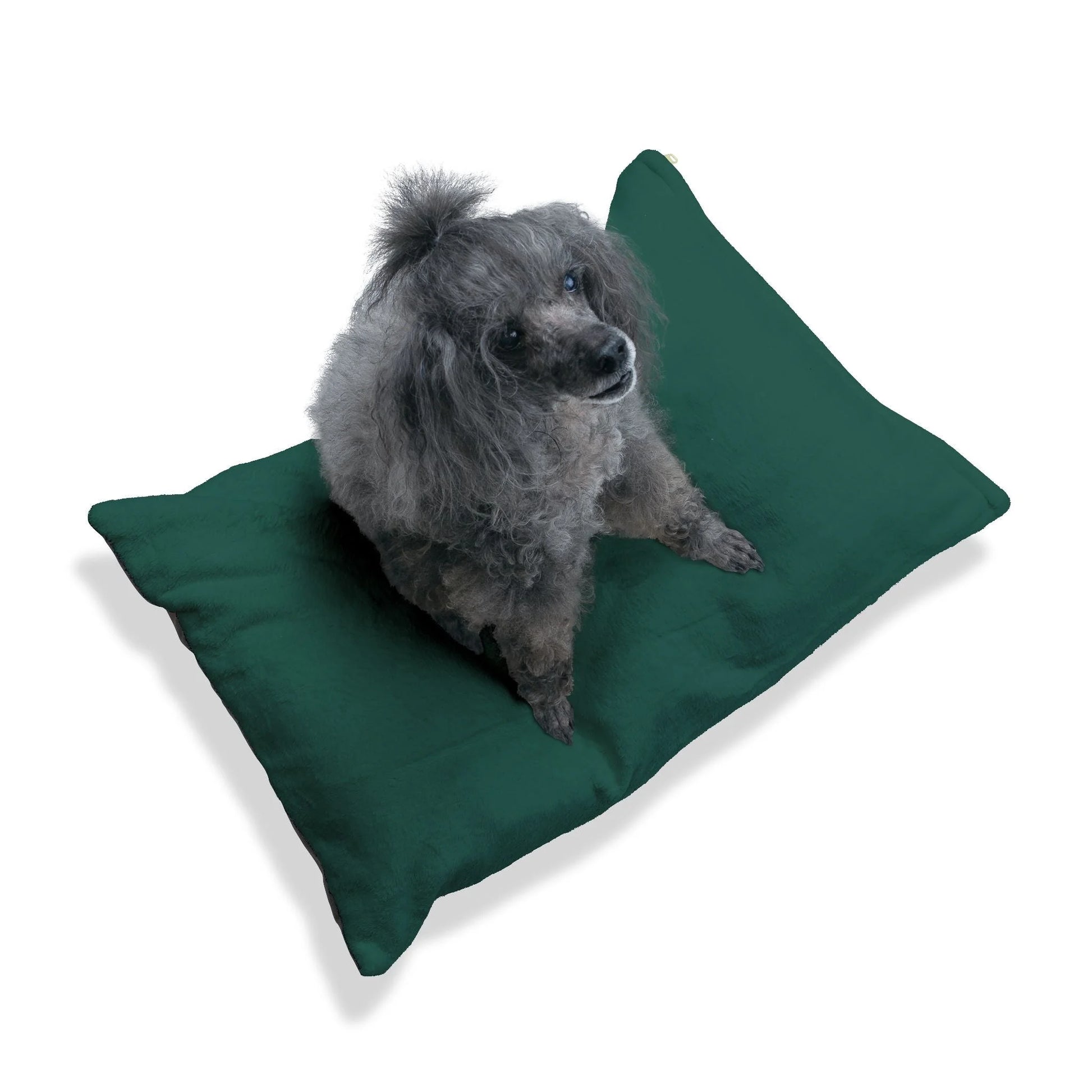 Buy The Best By Artsulli x Color Printify - Pet Bed - 2026