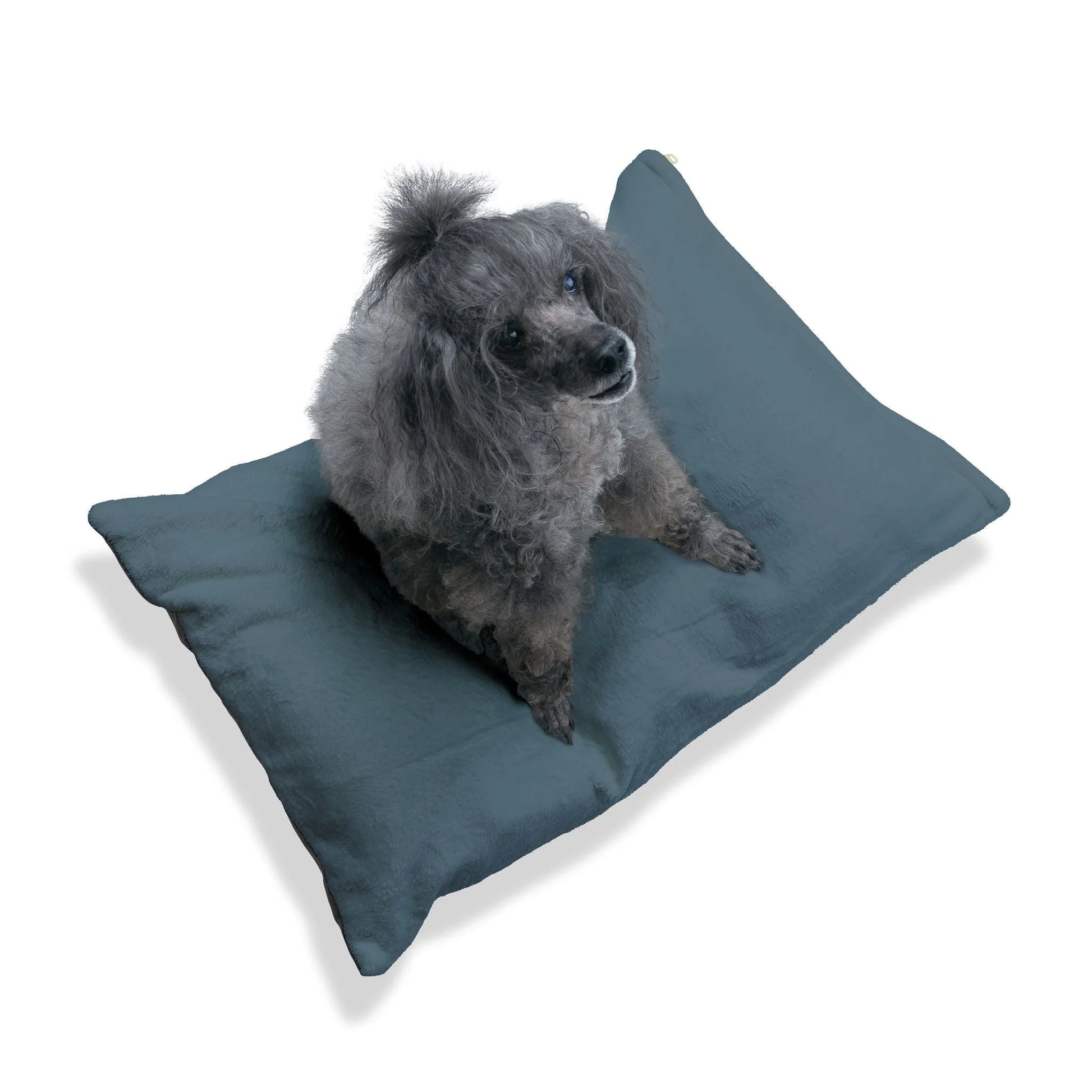 Buy The Best By Artsulli x Color Printify - Pet Bed - 2026