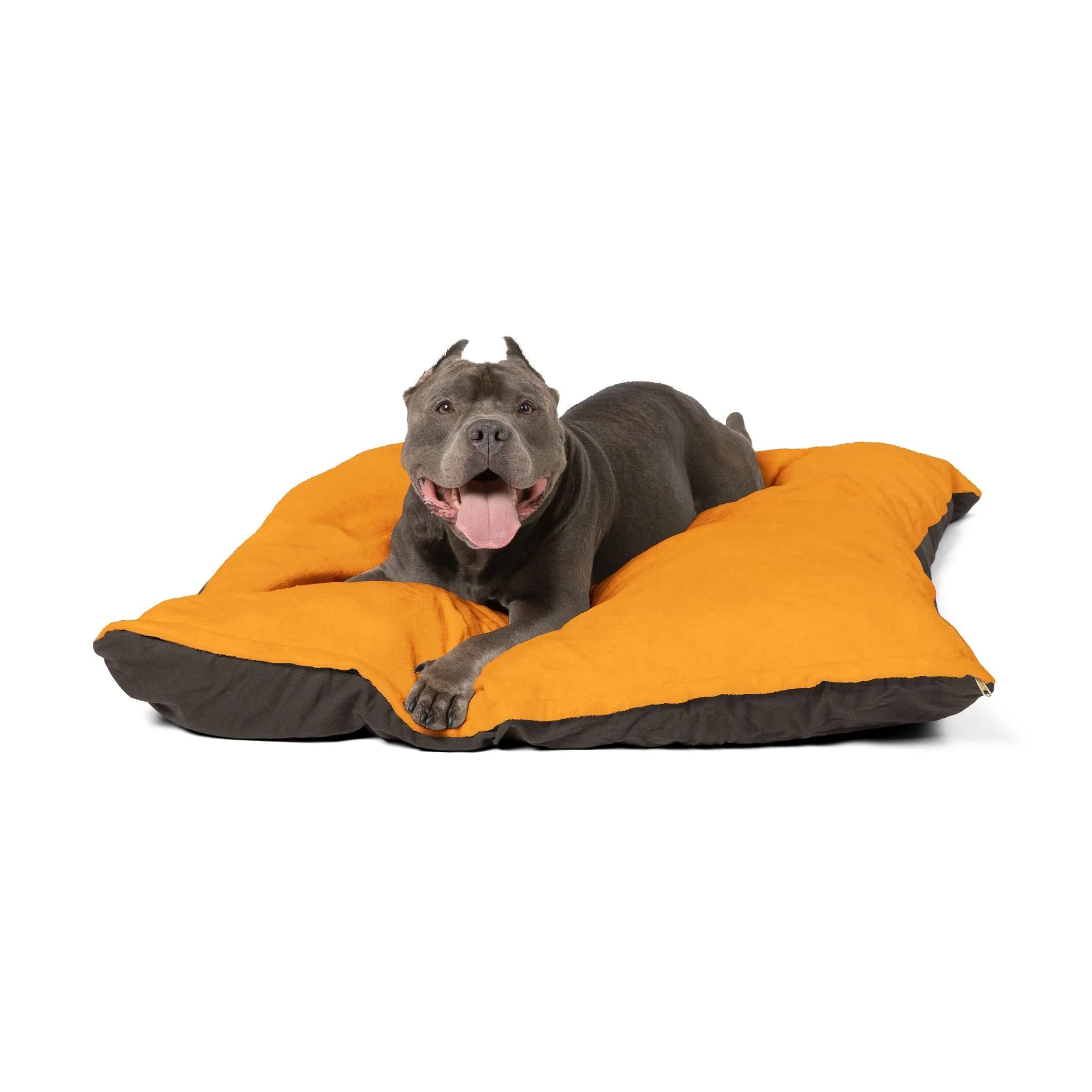 Buy The Best By Artsulli x Color Printify - Pet Bed - 2026