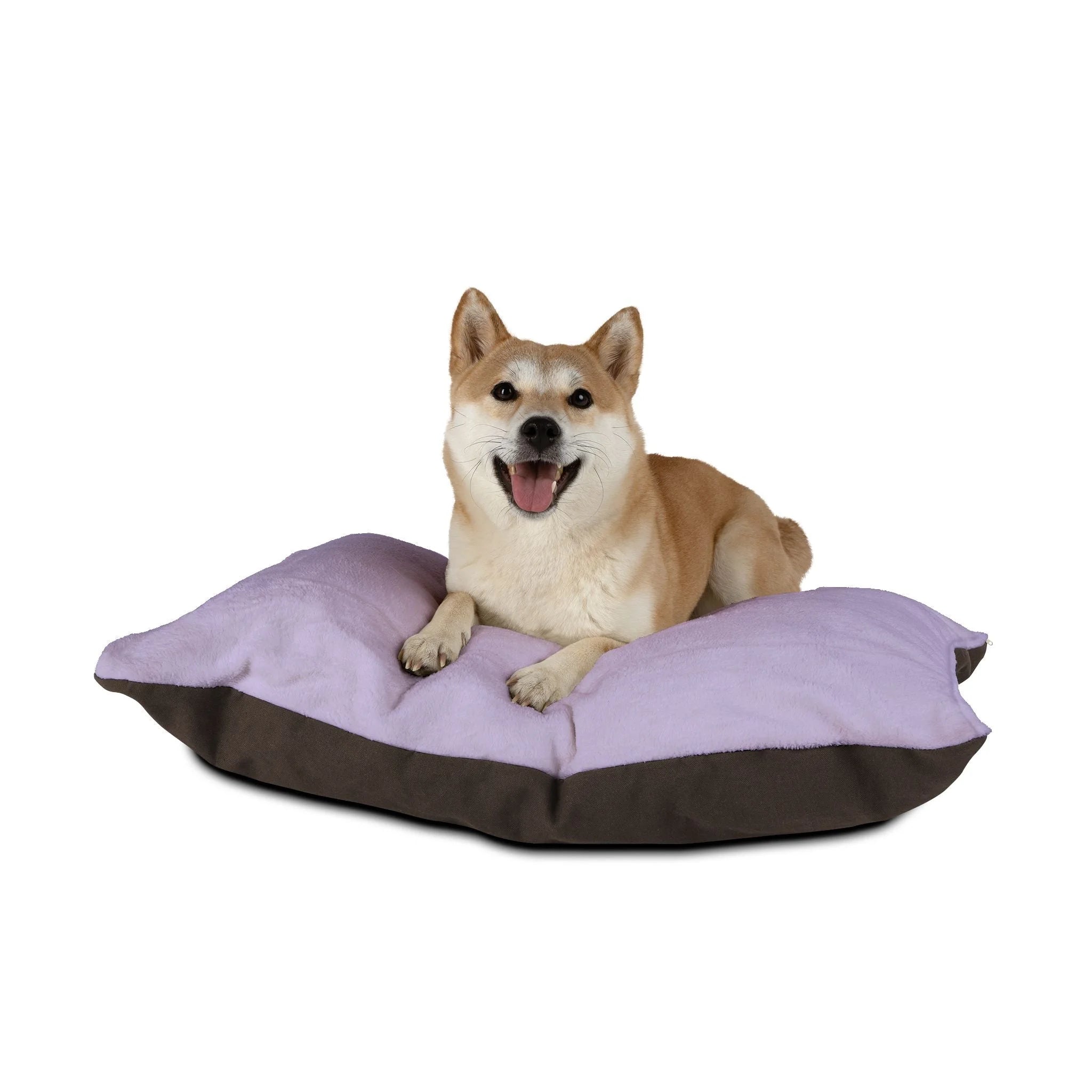 Buy The Best By Artsulli x Color Printify - Pet Bed - 2026