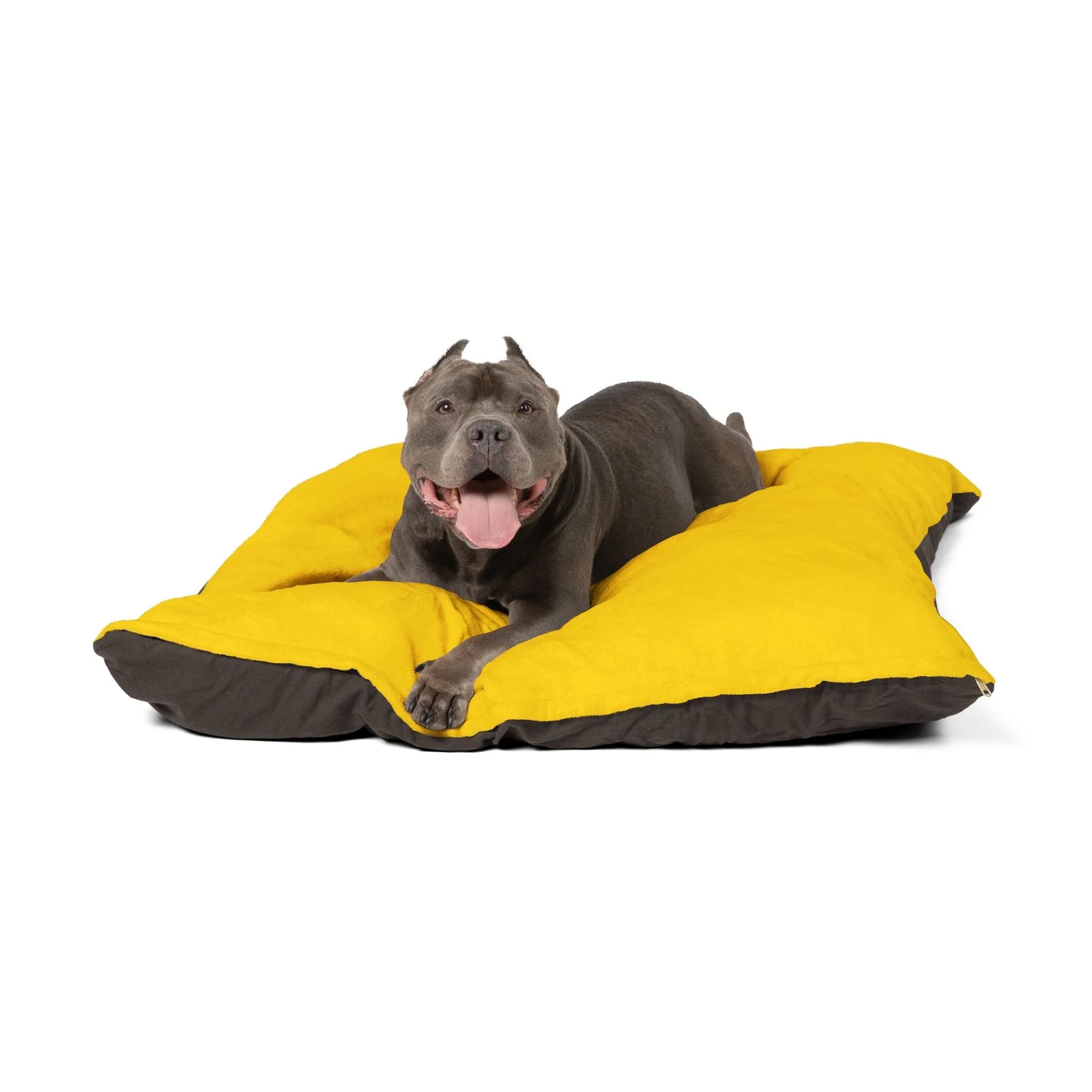 Buy The Best By Artsulli x Color Printify - Pet Bed - 2026