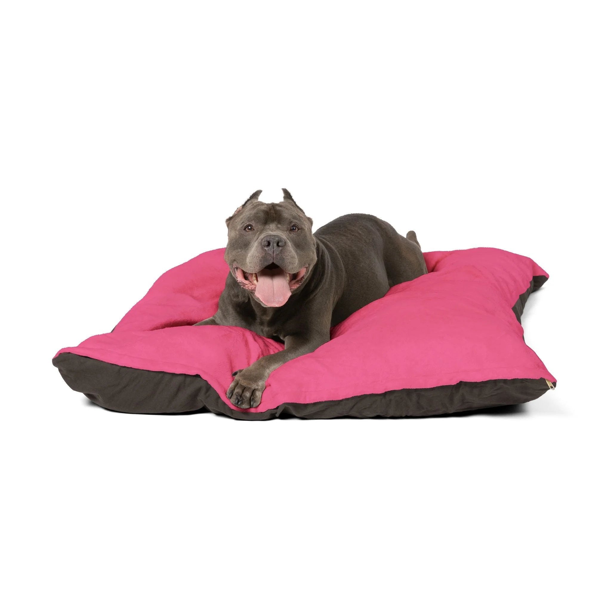 Buy The Best By Artsulli x Color Printify - Pet Bed - 2026
