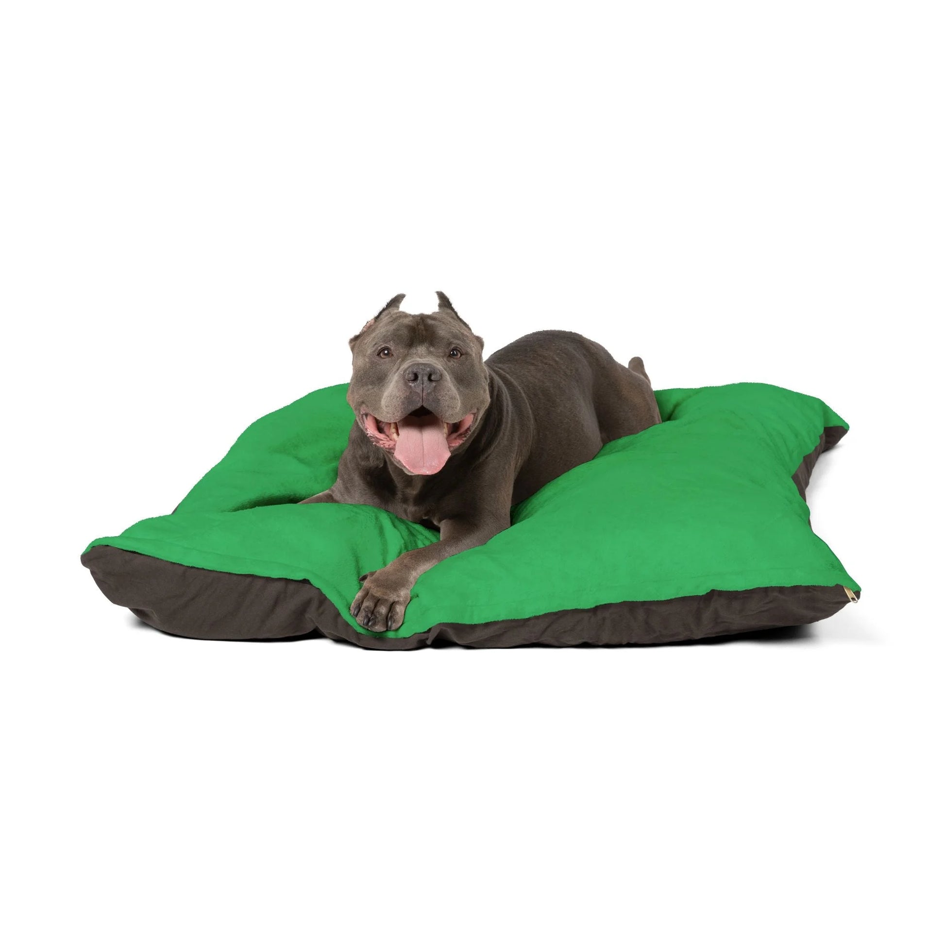 Buy The Best By Artsulli x Color Printify - Pet Bed - 2026