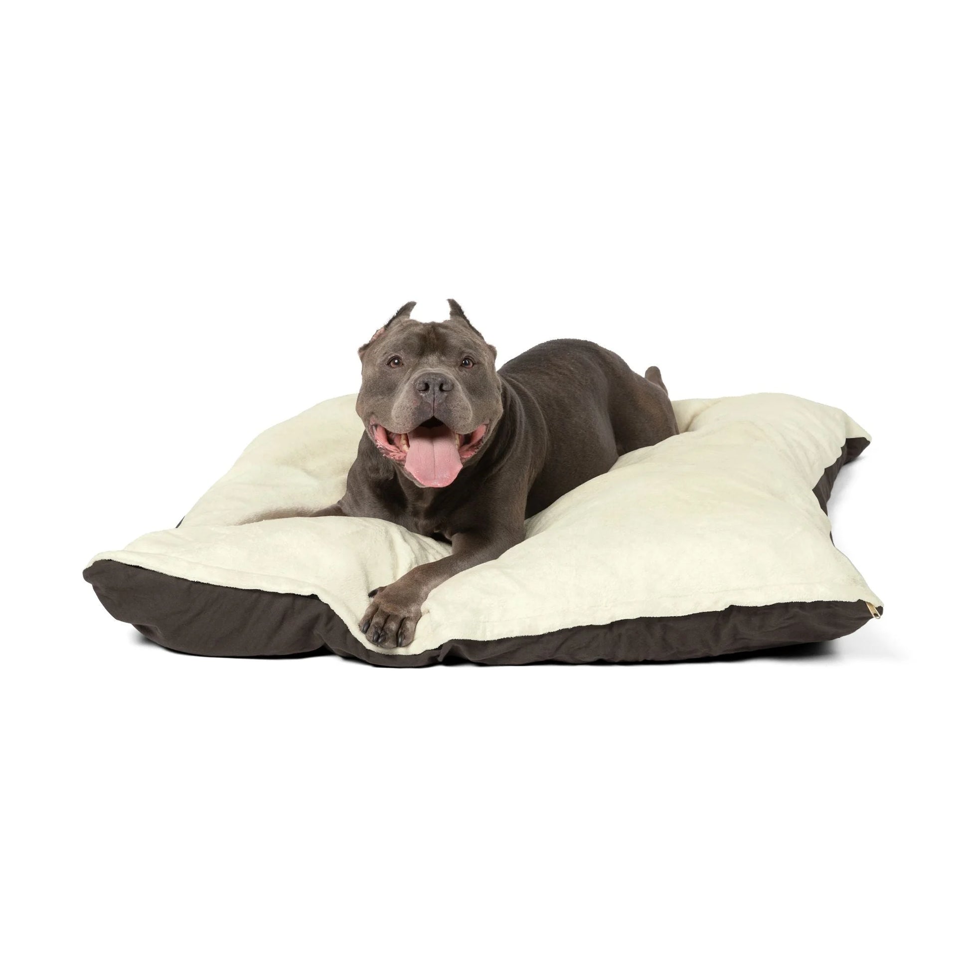 Buy The Best By Artsulli x Color Printify - Pet Bed - 2026