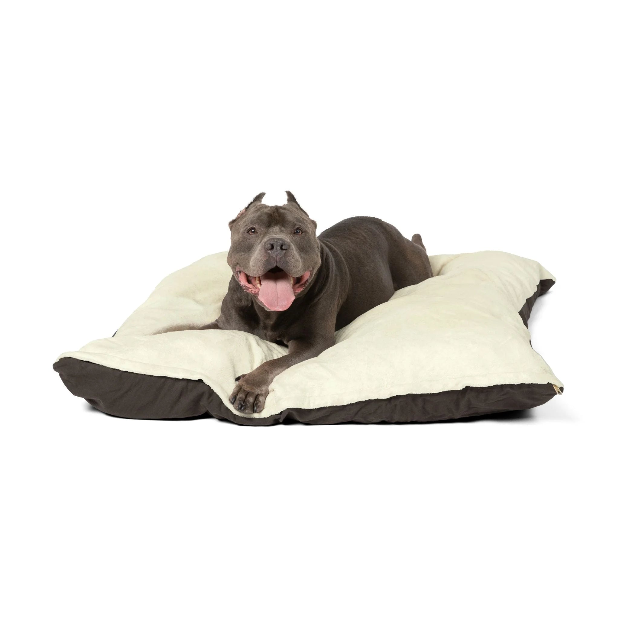 Buy The Best By Artsulli x Color Printify - Pet Bed - 2026