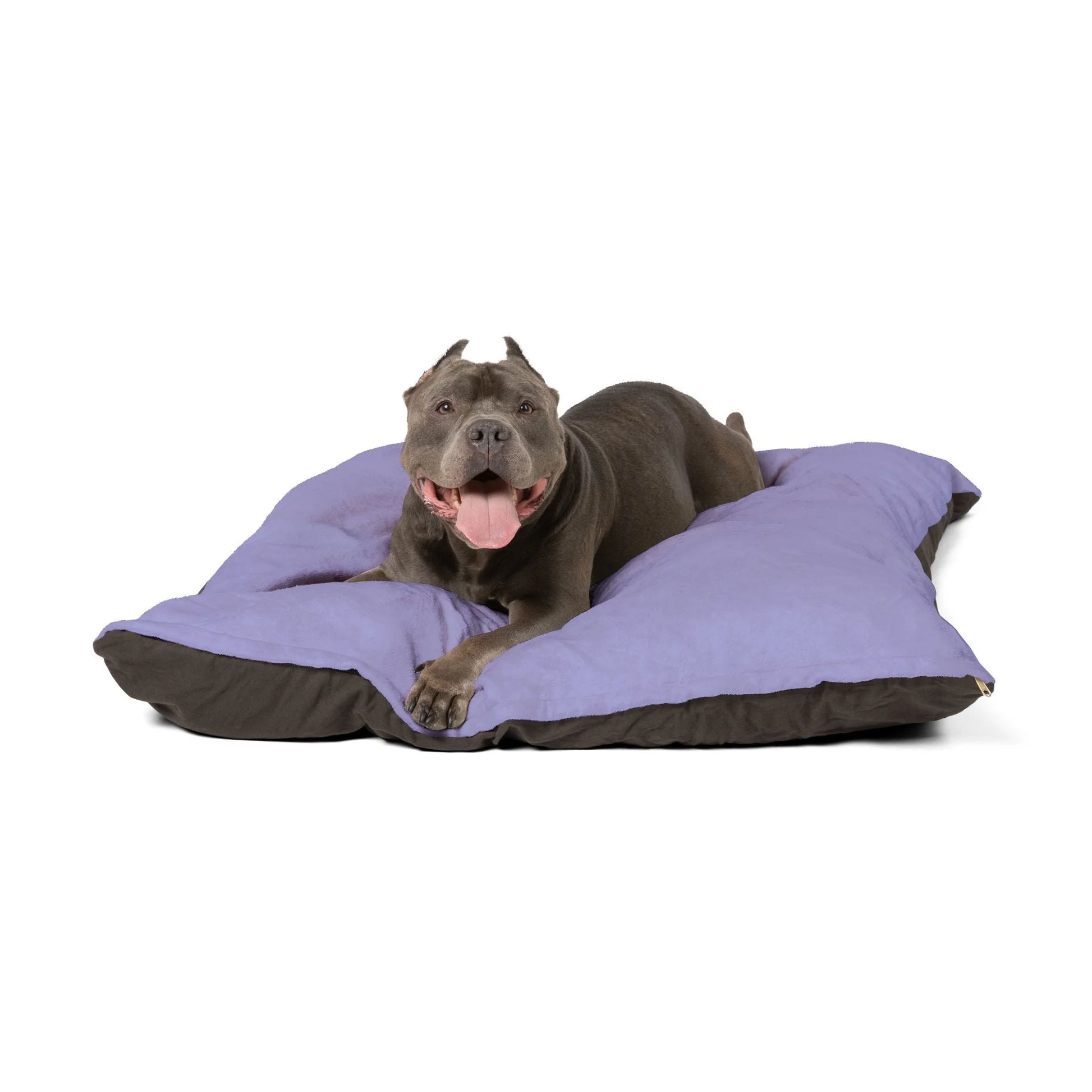 Buy The Best By Artsulli x Color Printify - Pet Bed - 2026