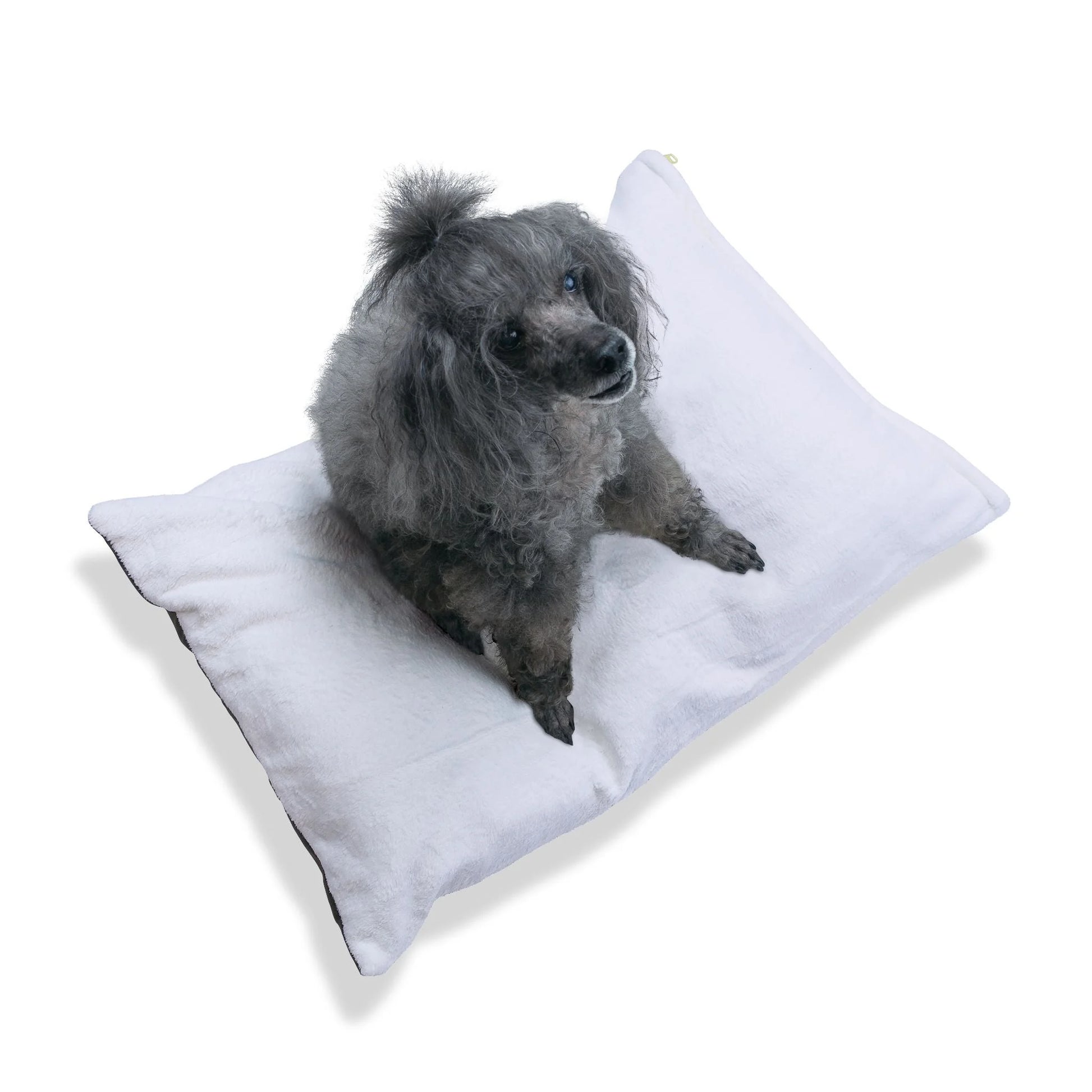 Buy The Best By Artsulli x Color Printify - Pet Bed - 2026