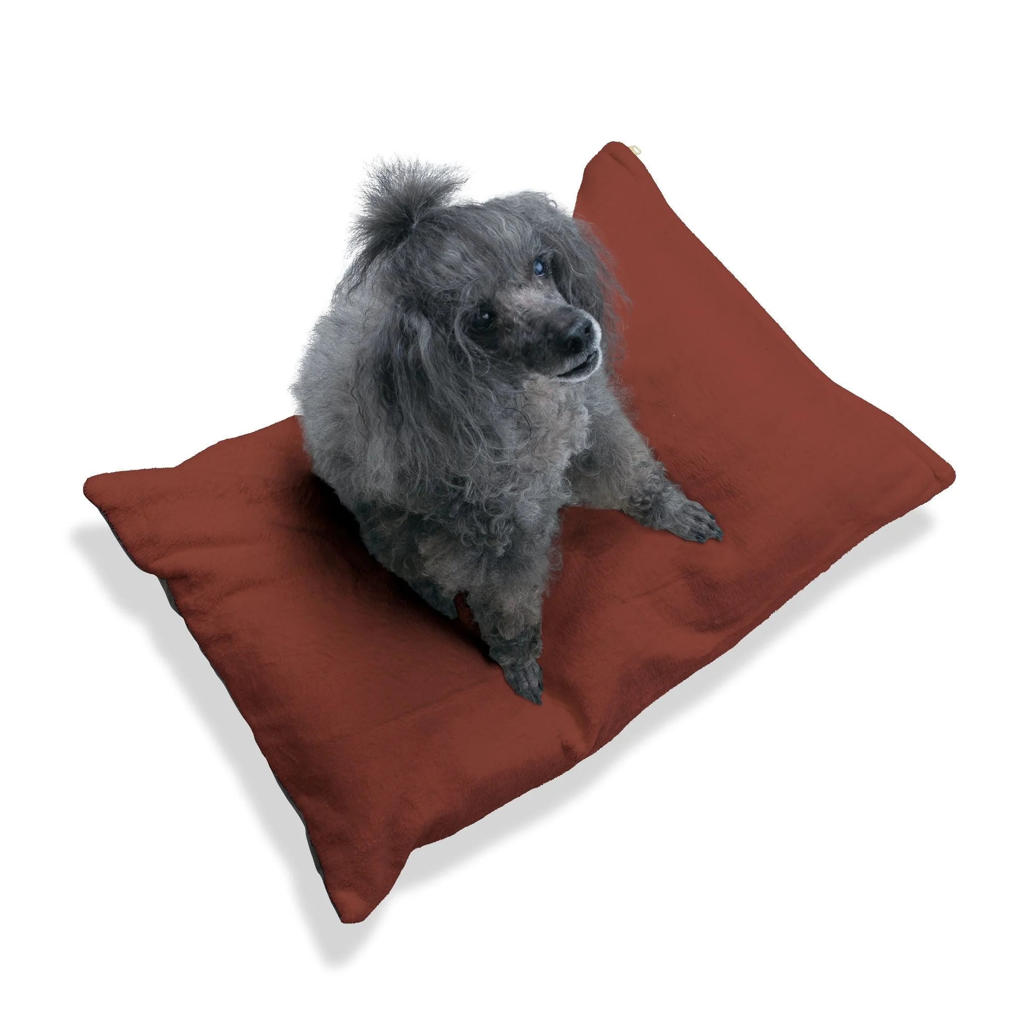 Buy The Best By Artsulli x Color Printify - Pet Bed - 2026
