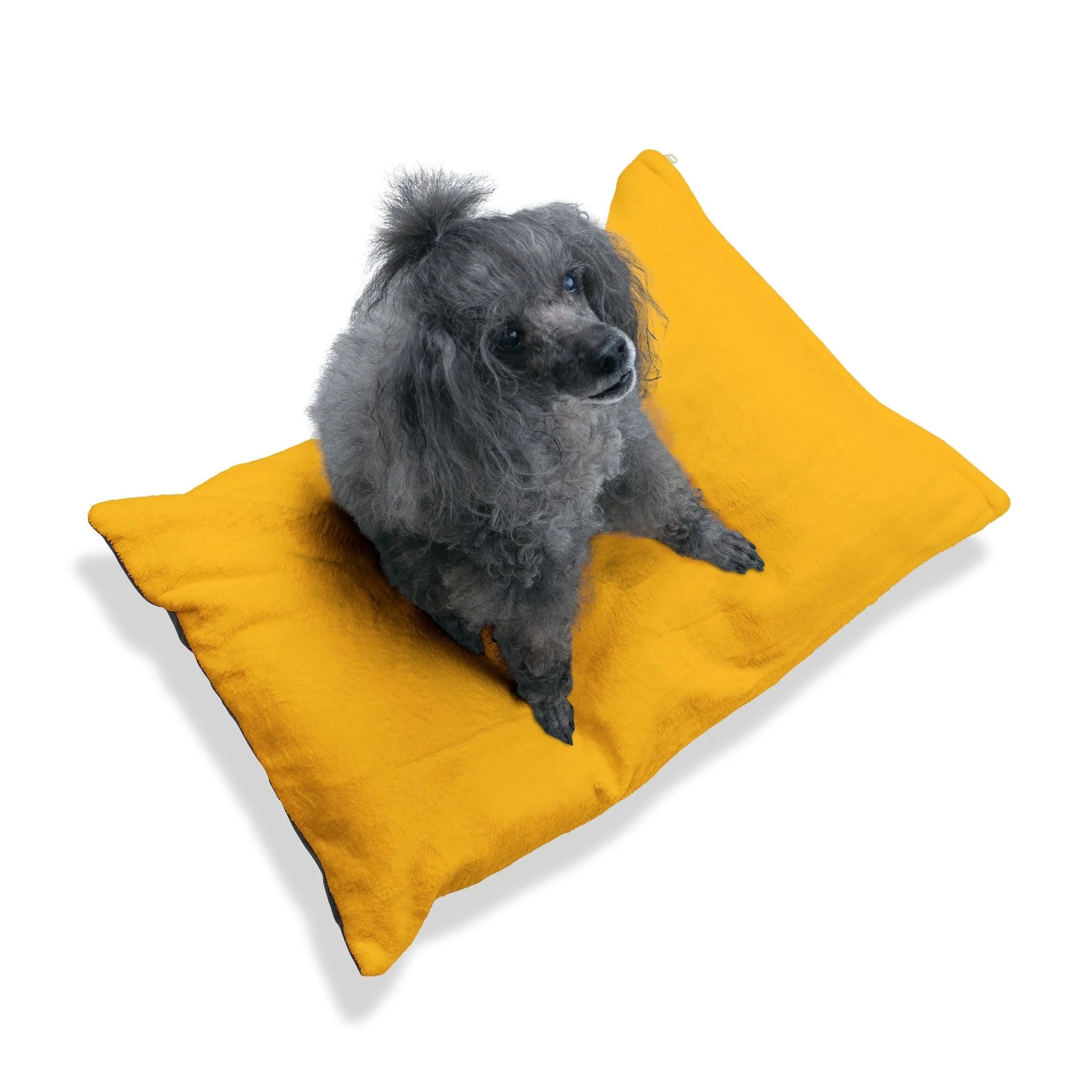 Buy The Best By Artsulli x Color Printify - Pet Bed - 2026
