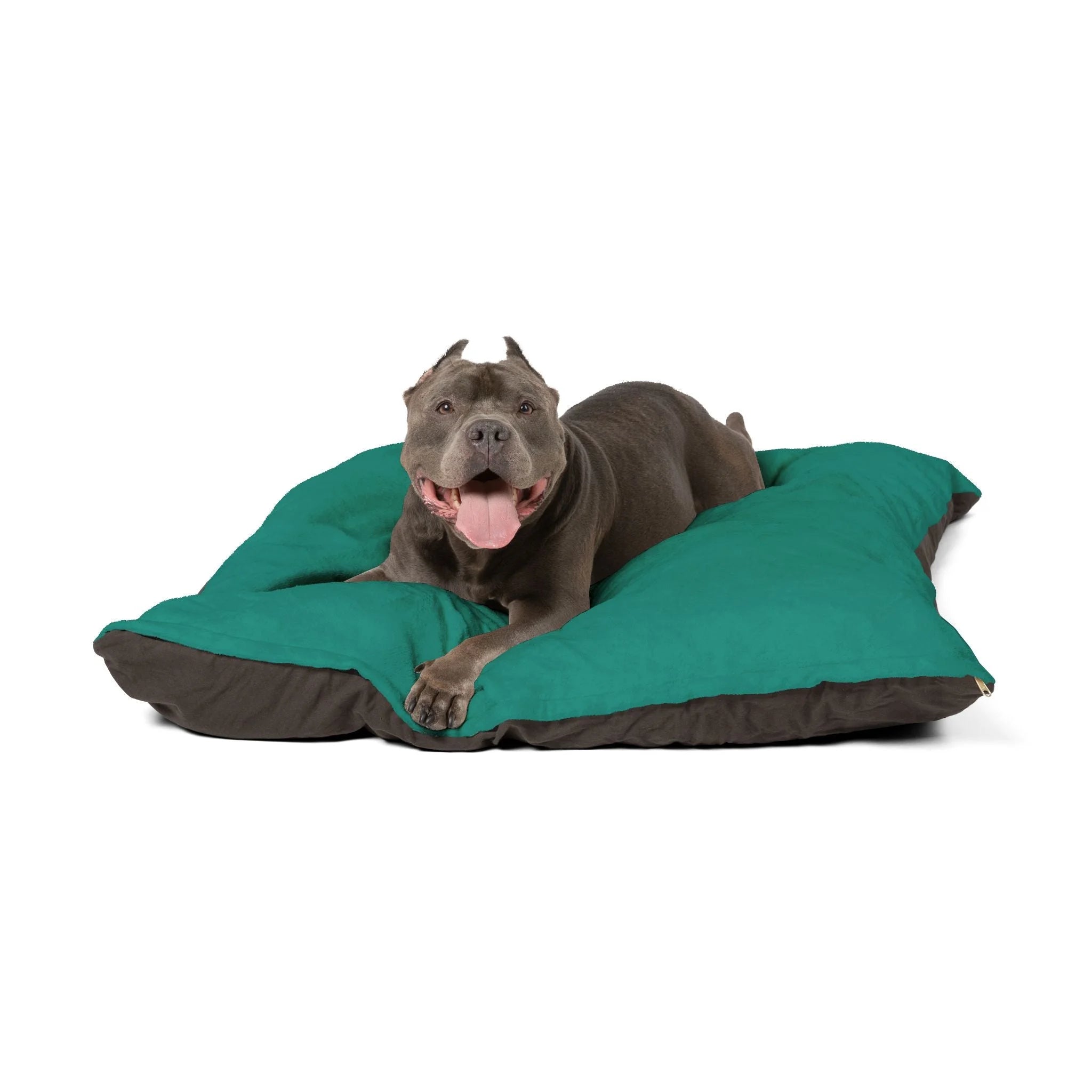 Buy The Best By Artsulli x Color Printify - Pet Bed - 2026