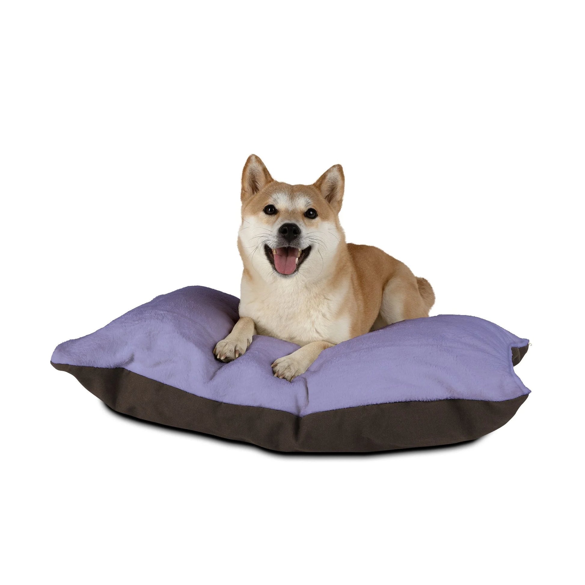 Buy The Best By Artsulli x Color Printify - Pet Bed - 2026