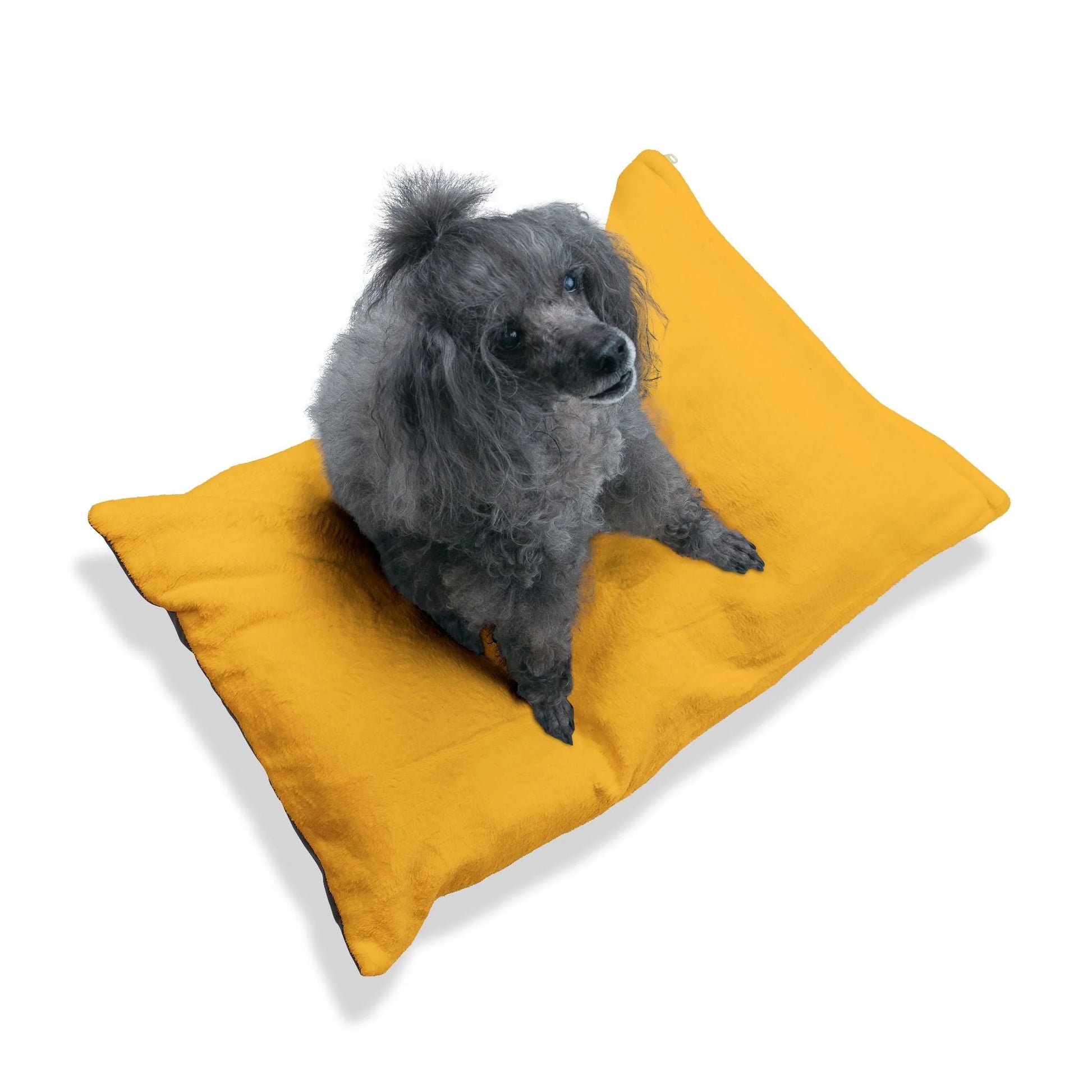 Buy The Best By Artsulli x Color Printify - Pet Bed - 2026