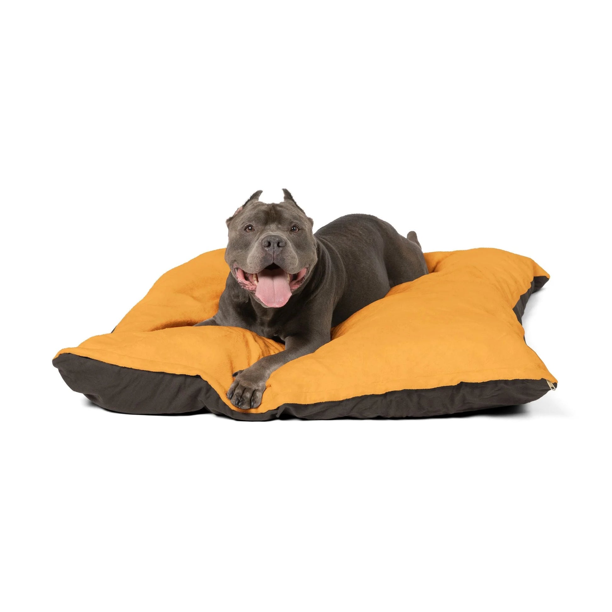 Buy The Best By Artsulli x Color Printify - Pet Bed - 2026
