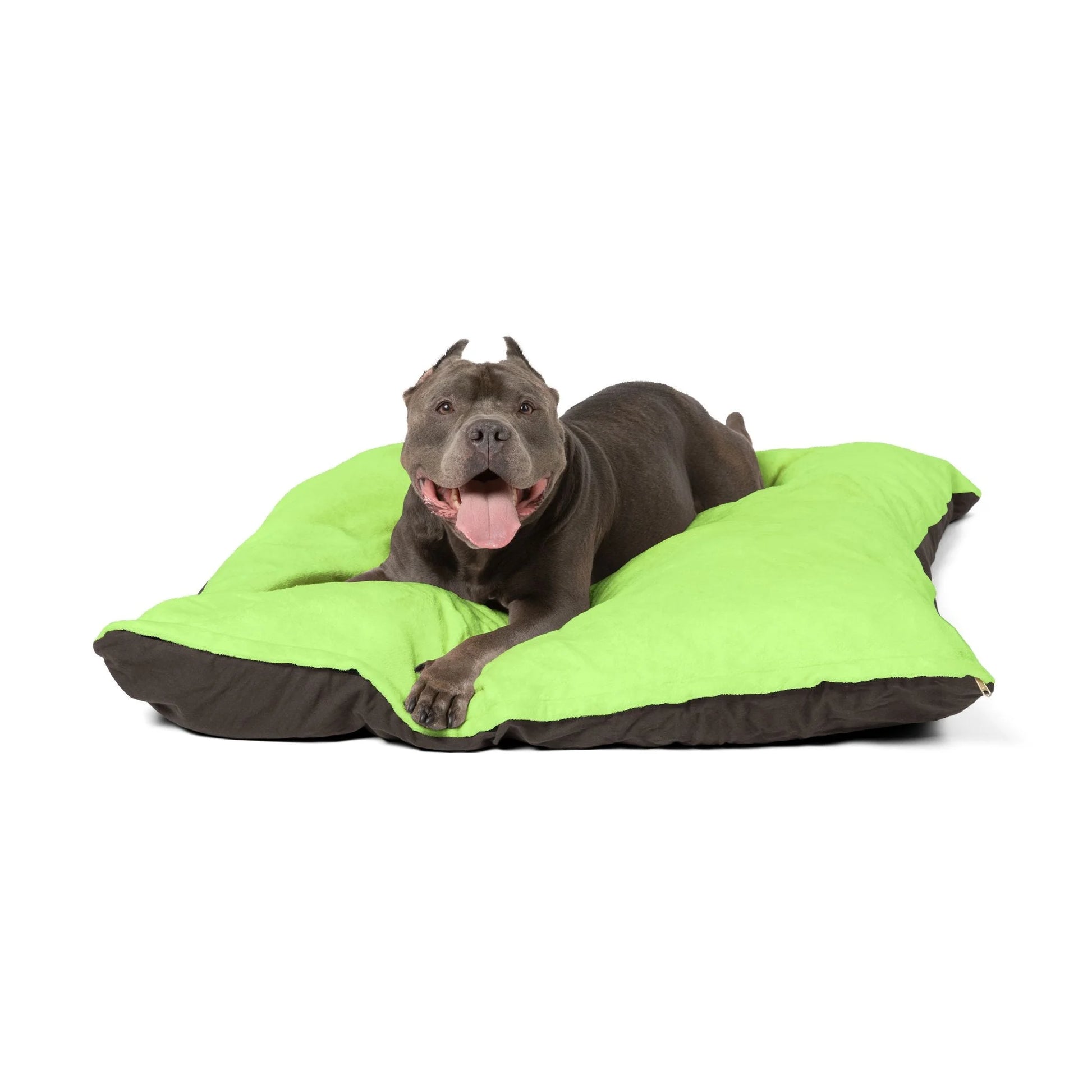 Buy The Best By Artsulli x Color Printify - Pet Bed - 2026
