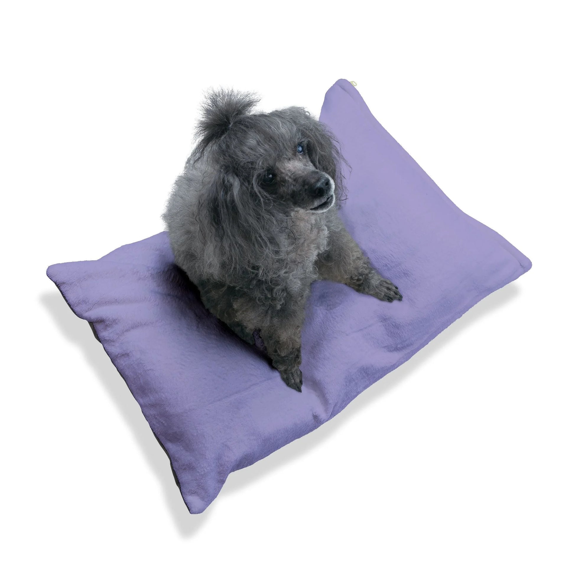 Buy The Best By Artsulli x Color Printify - Pet Bed - 2026